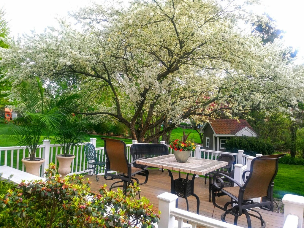 1533 Ambleside Circle