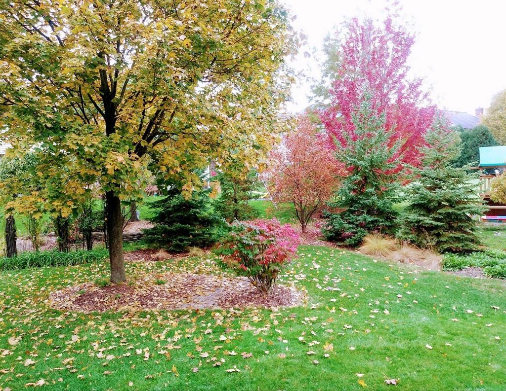 1533 Ambleside Circle