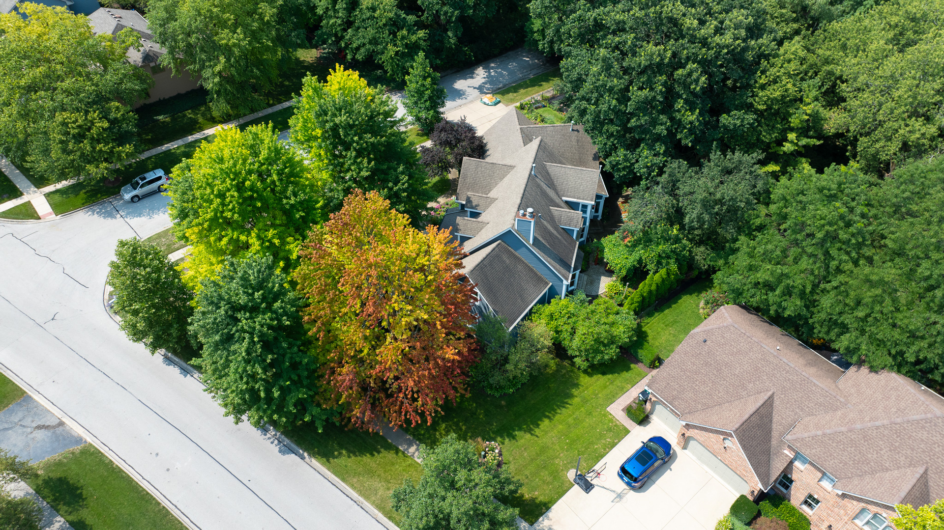 1161 Davey Drive