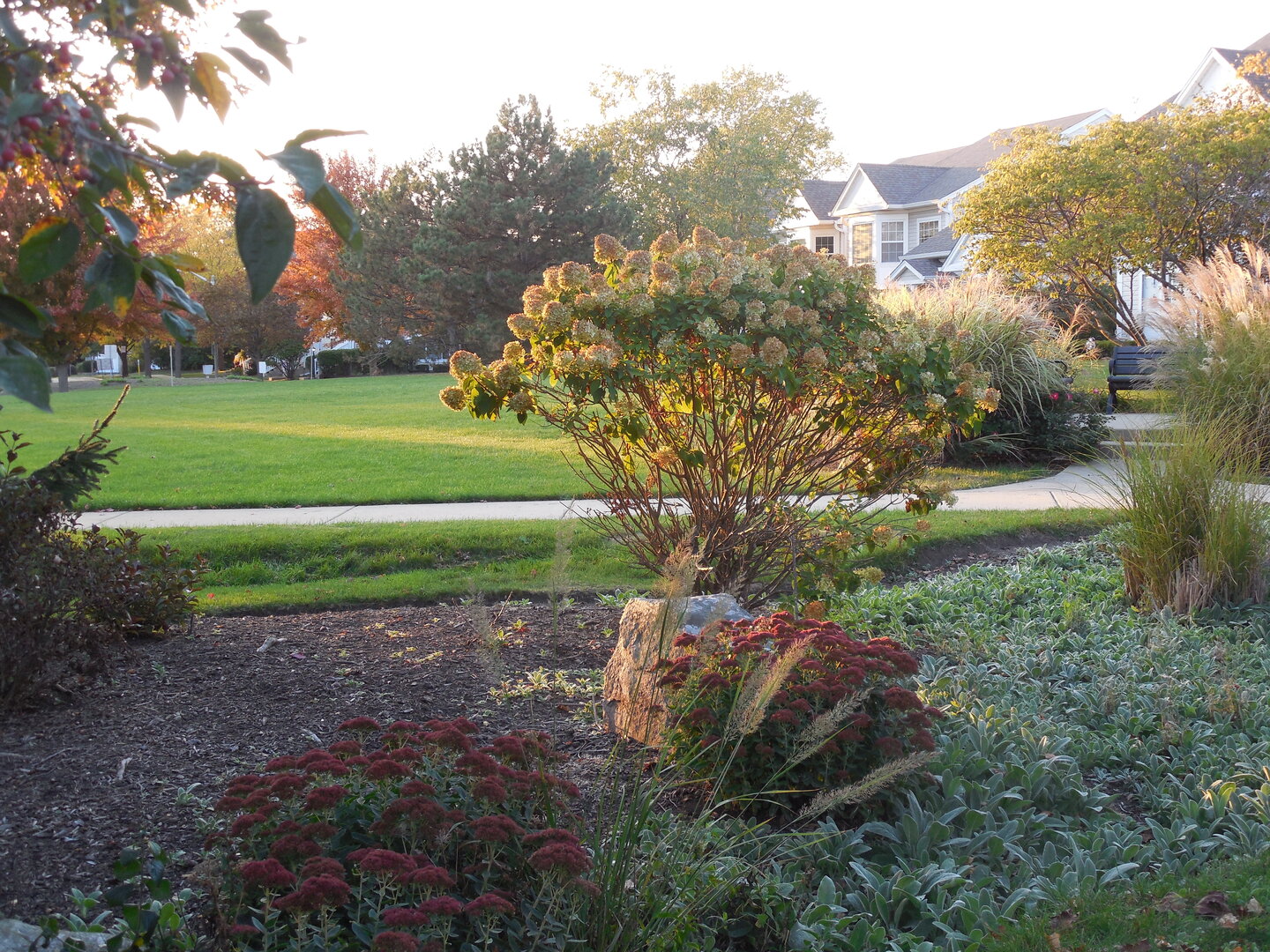 420 Hidden Creek Lane Unit: 420