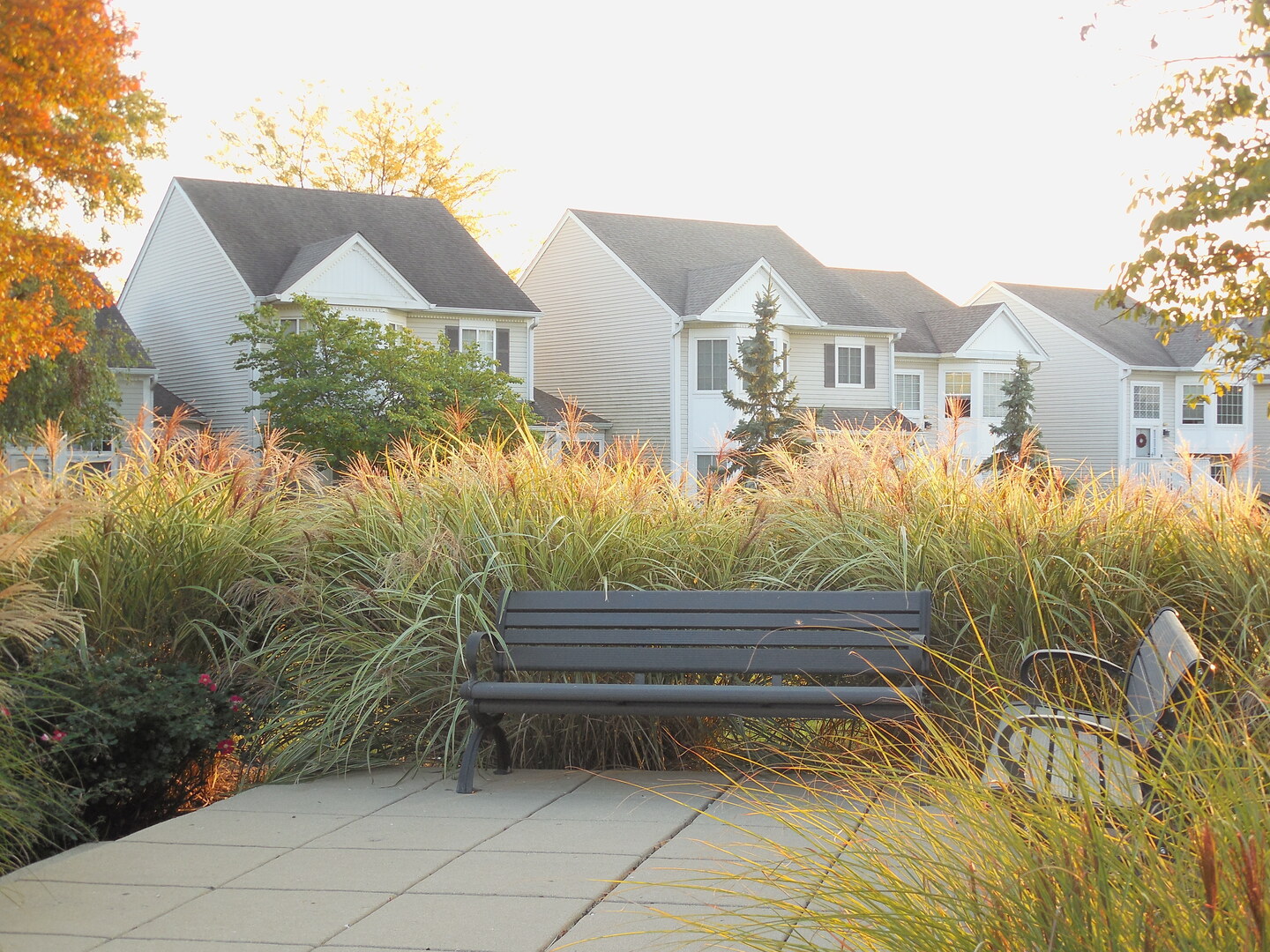 420 Hidden Creek Lane Unit: 420