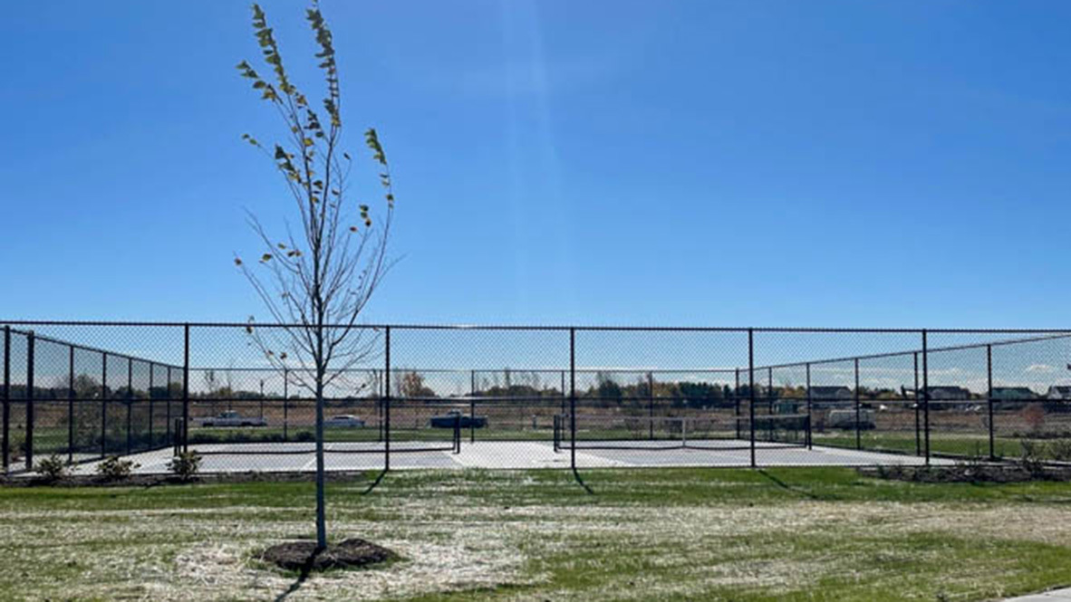 504 Autumn Moor Trail