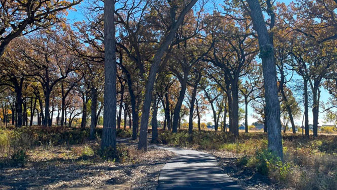 504 Autumn Moor Trail