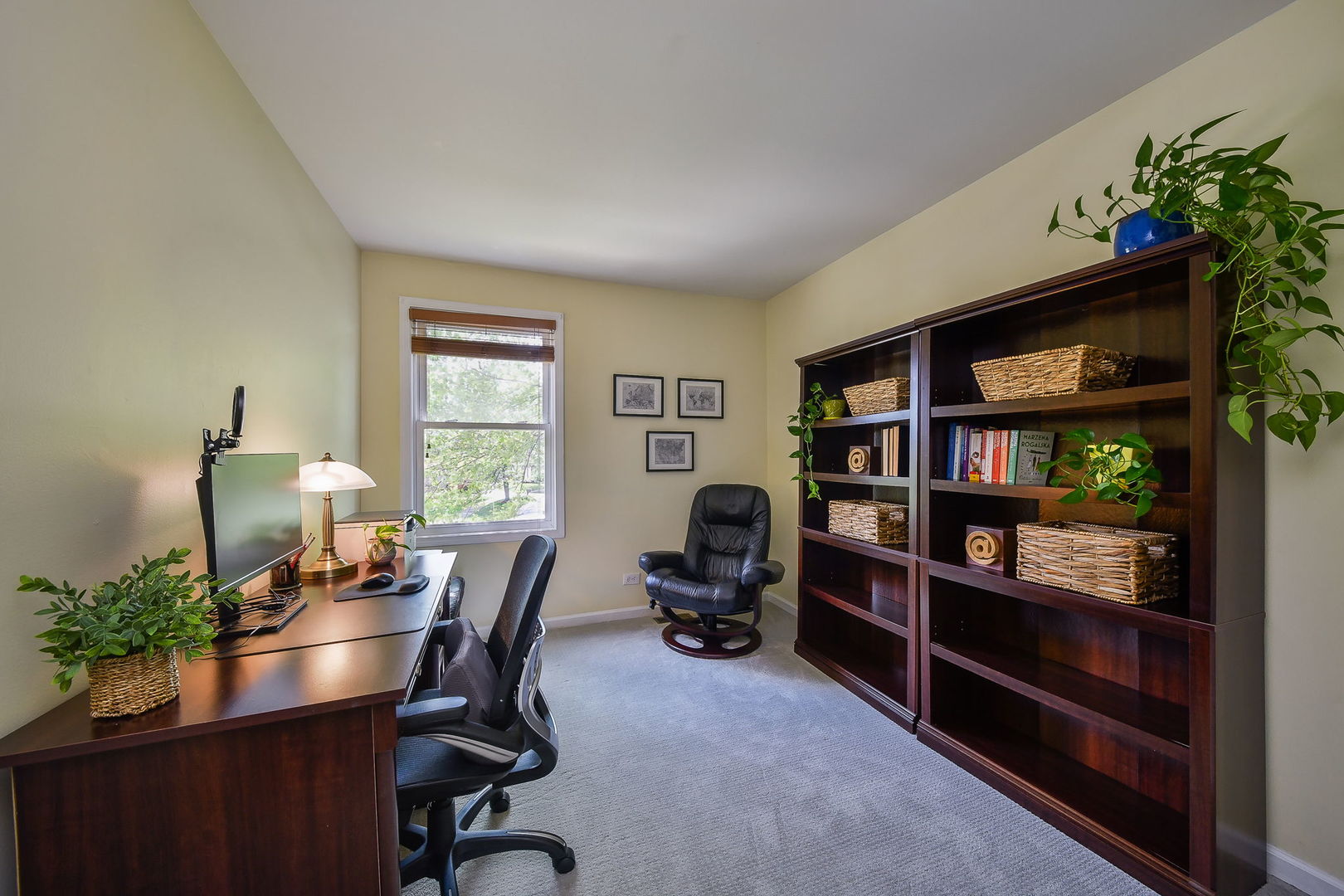 1143 Woodlake Drive