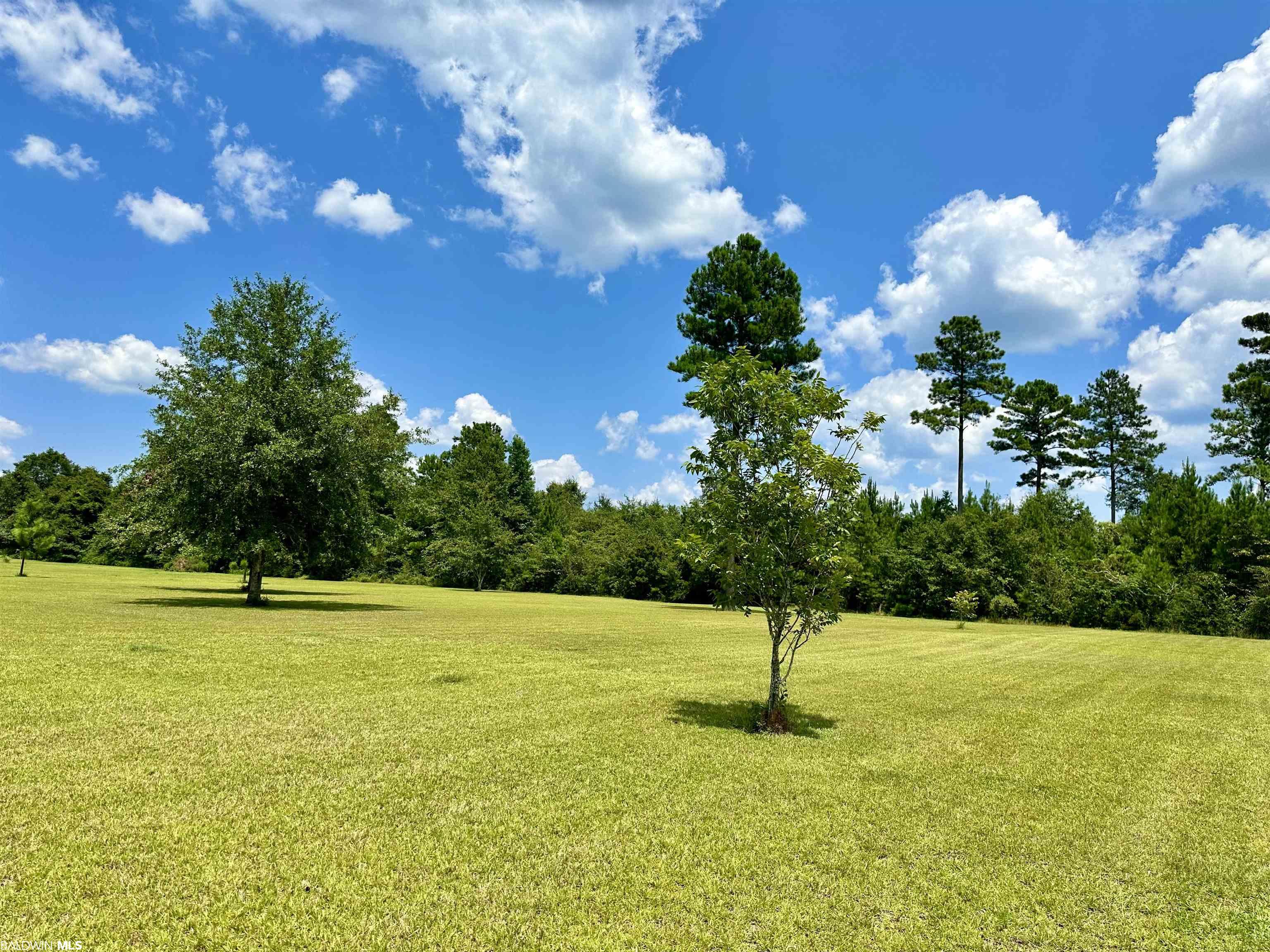 1448 Dogwood Road