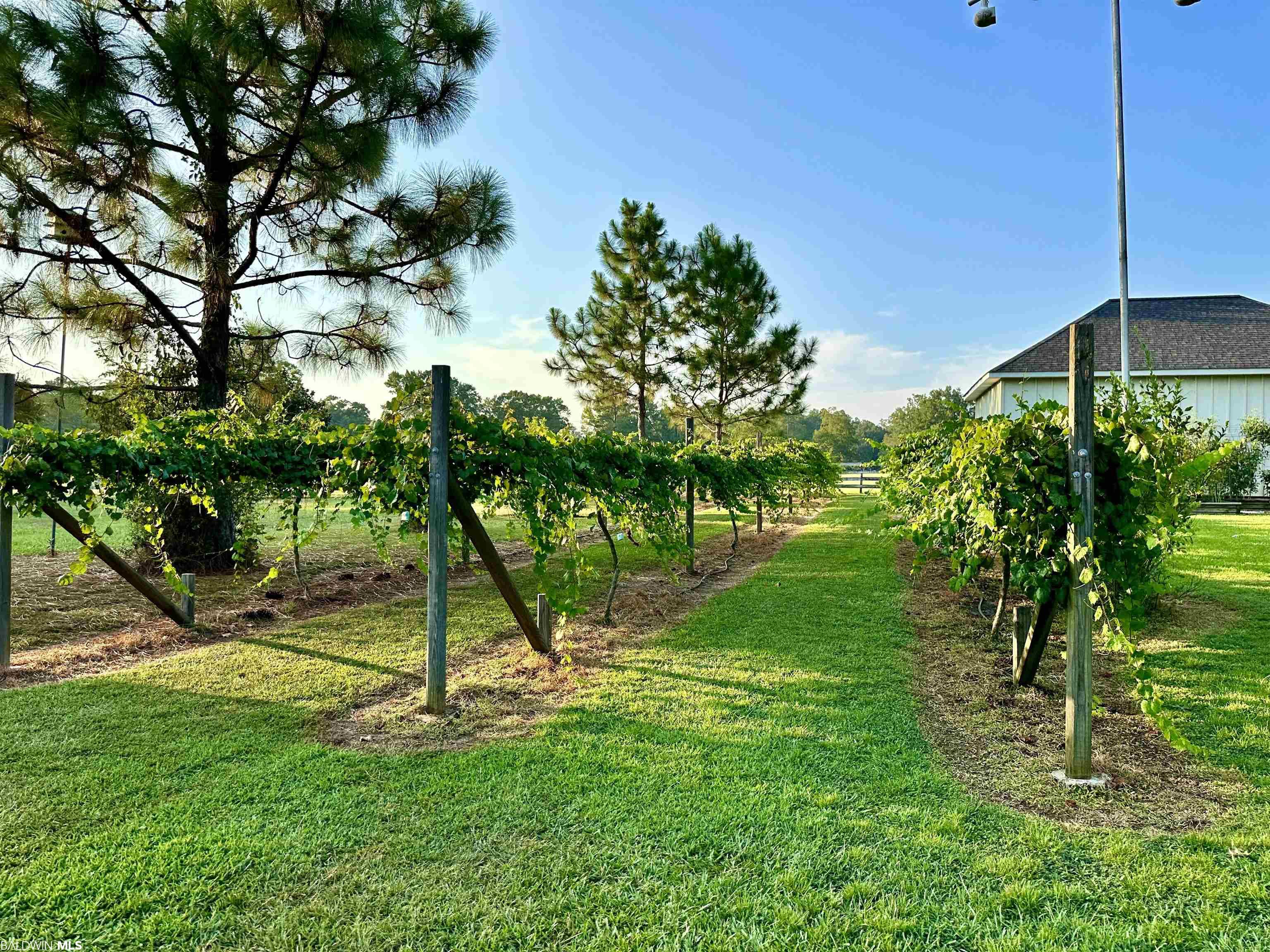 391 Old Castleberry Road