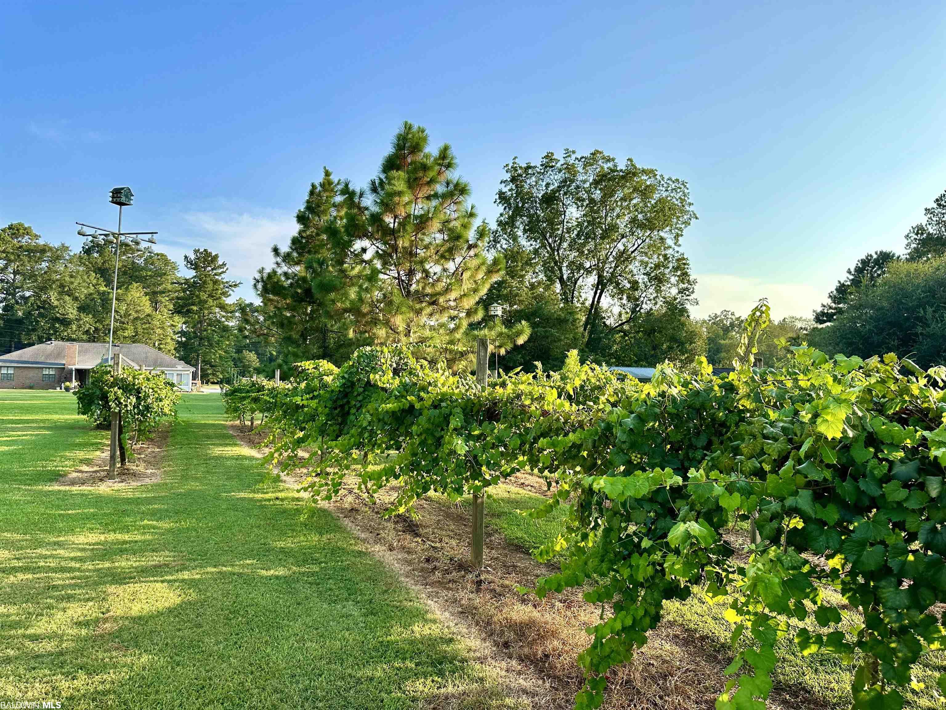 391 Old Castleberry Road