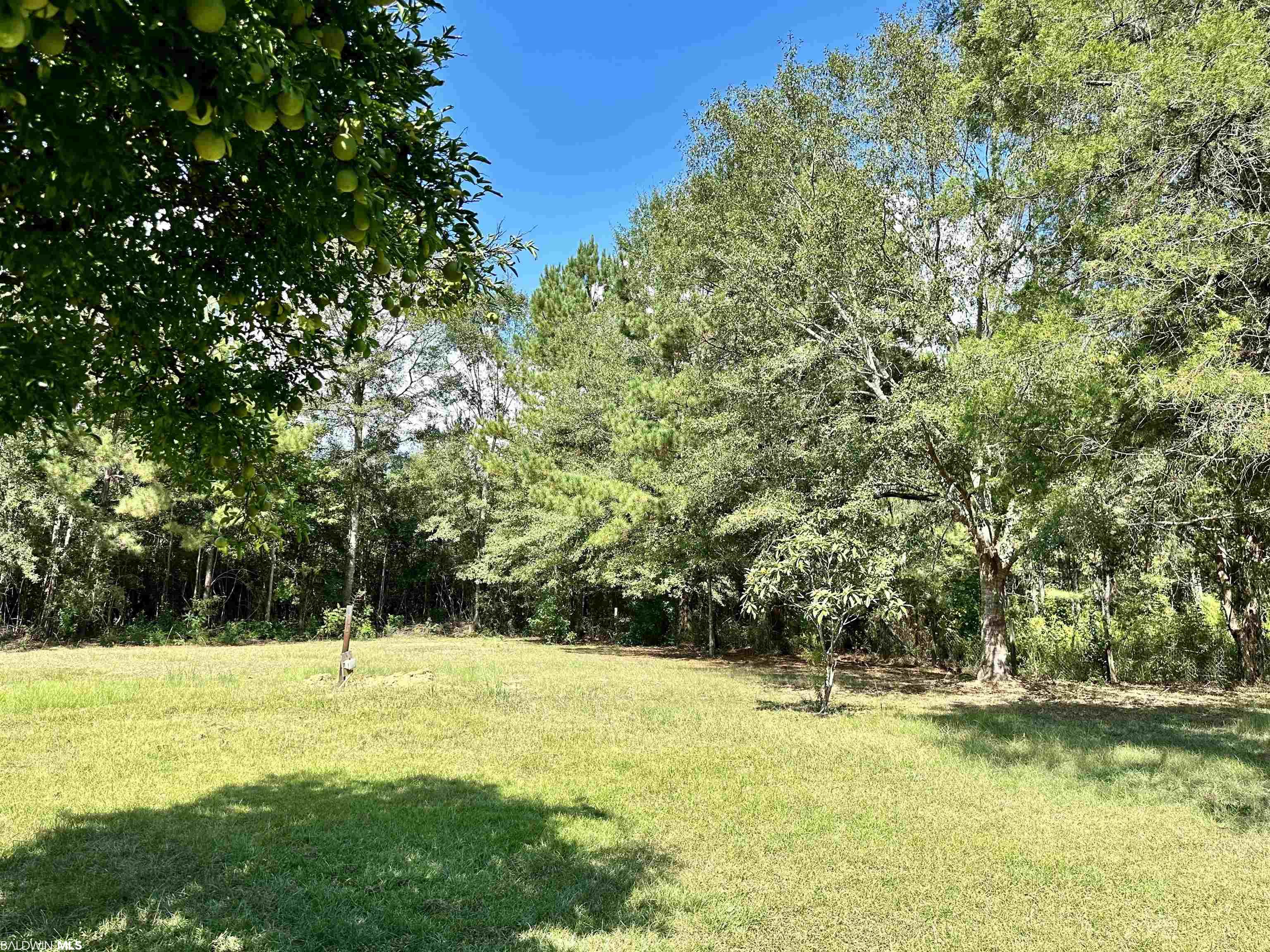801 McBride Circle