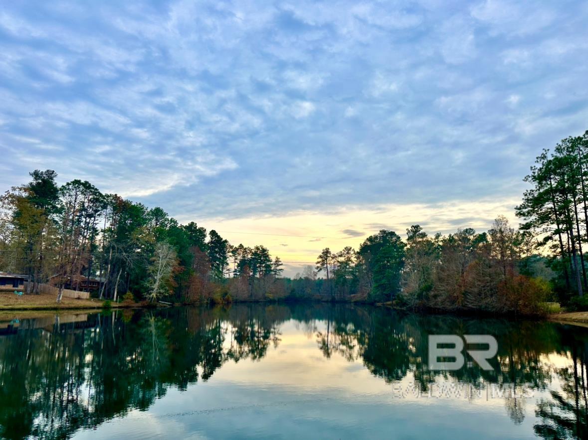 345 Buddy Lake Road