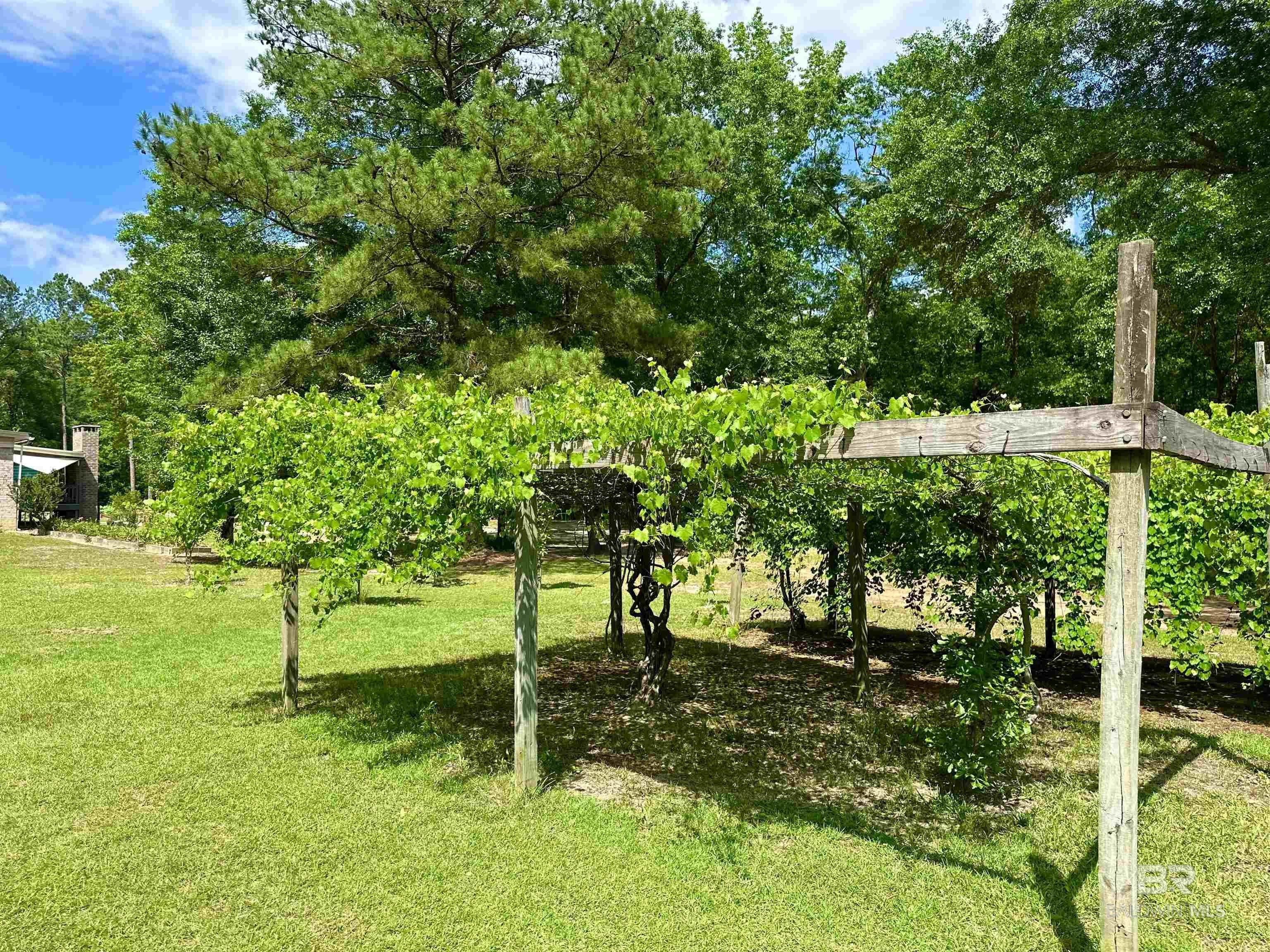 9276 Highway 29