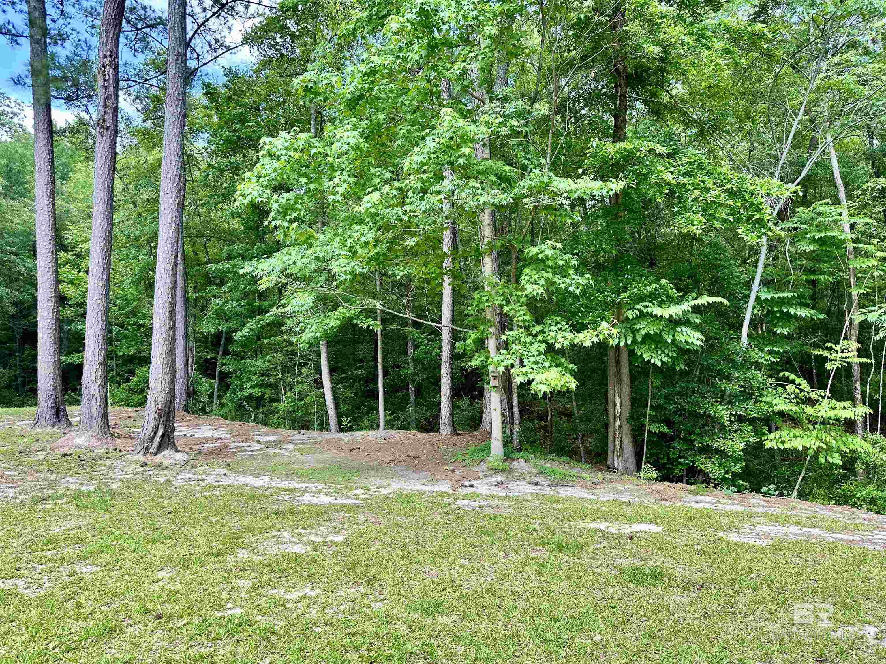 9276 Highway 29