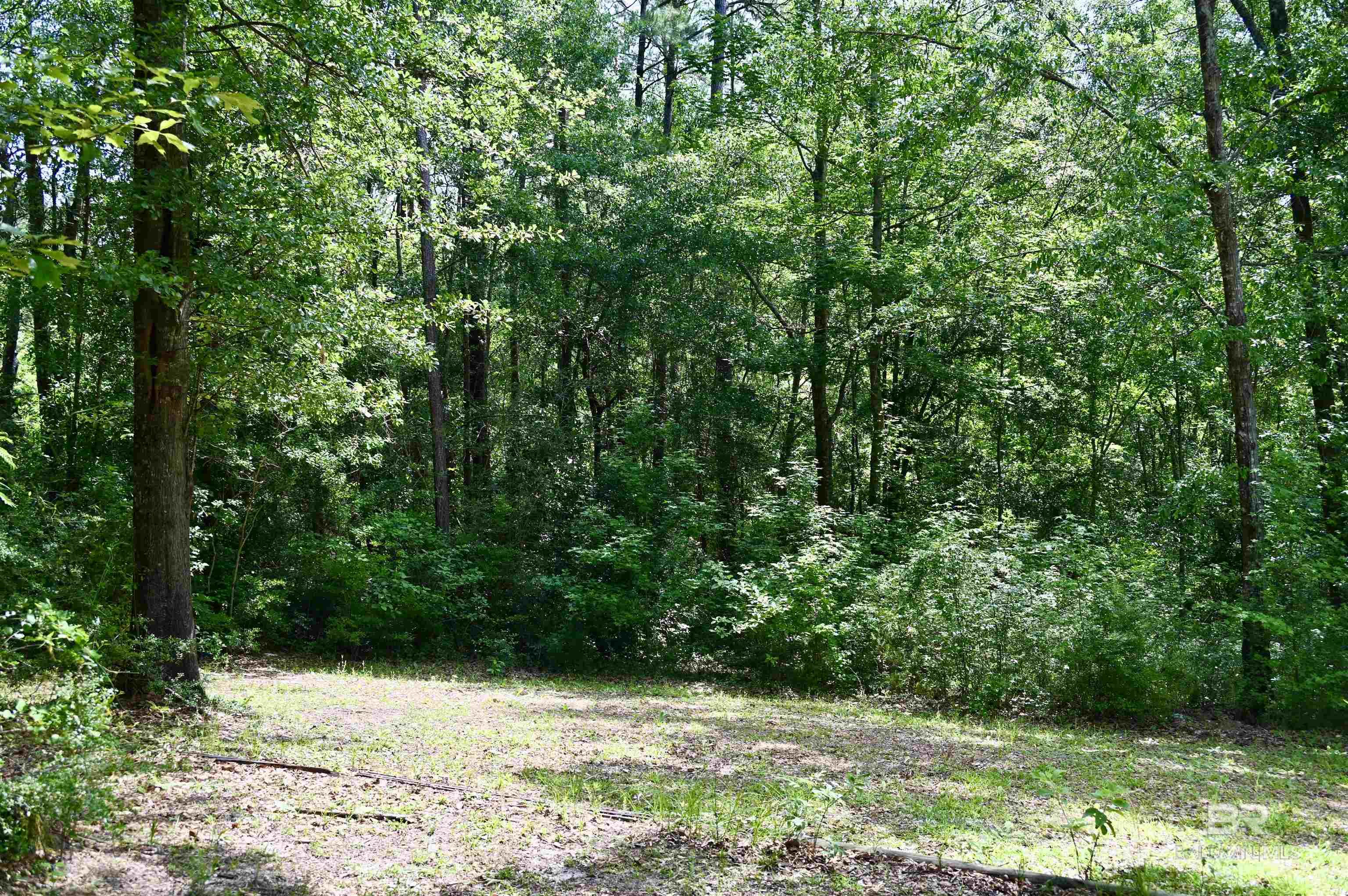 2300 Wolf Log Road