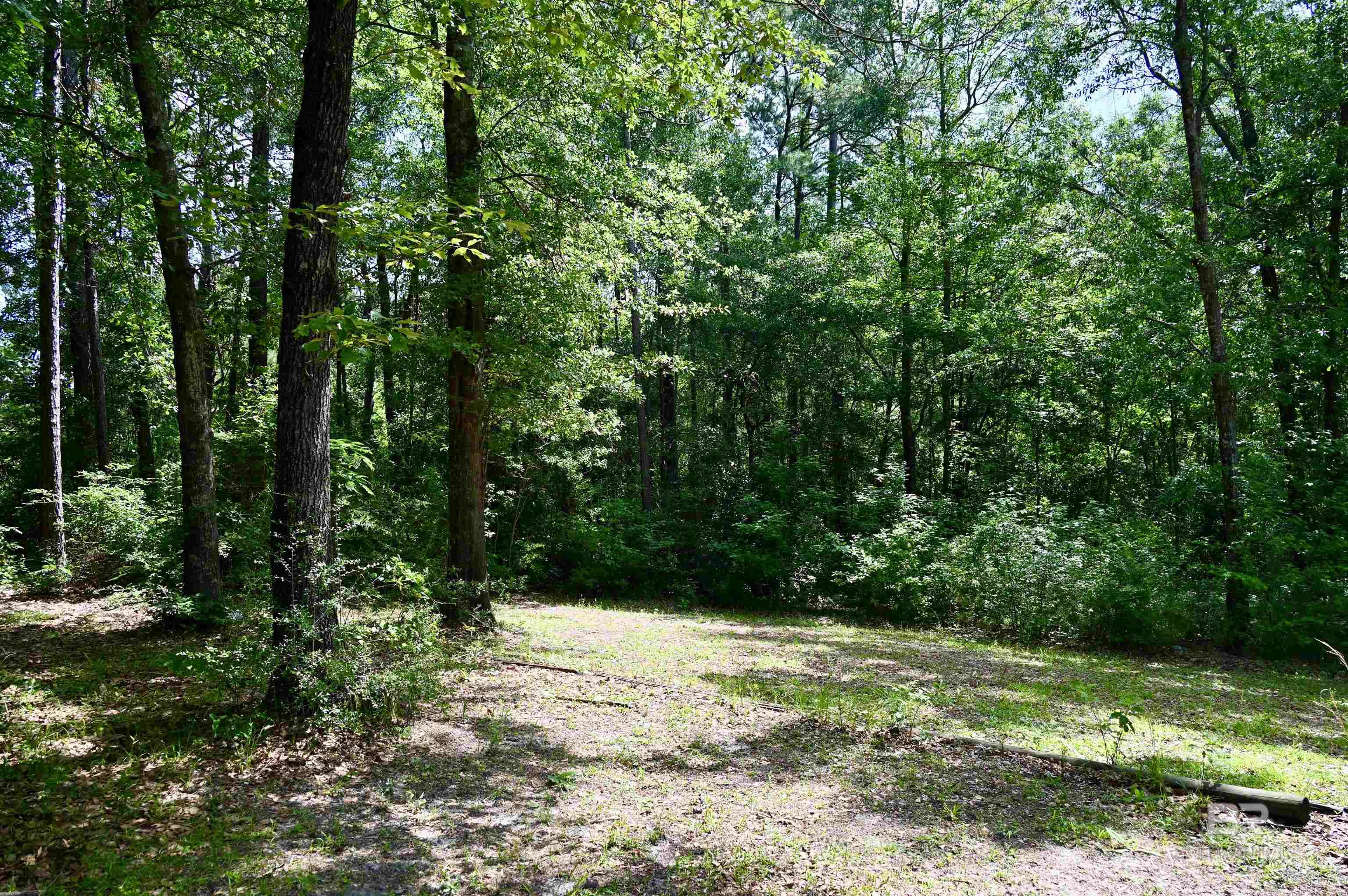 2300 Wolf Log Road