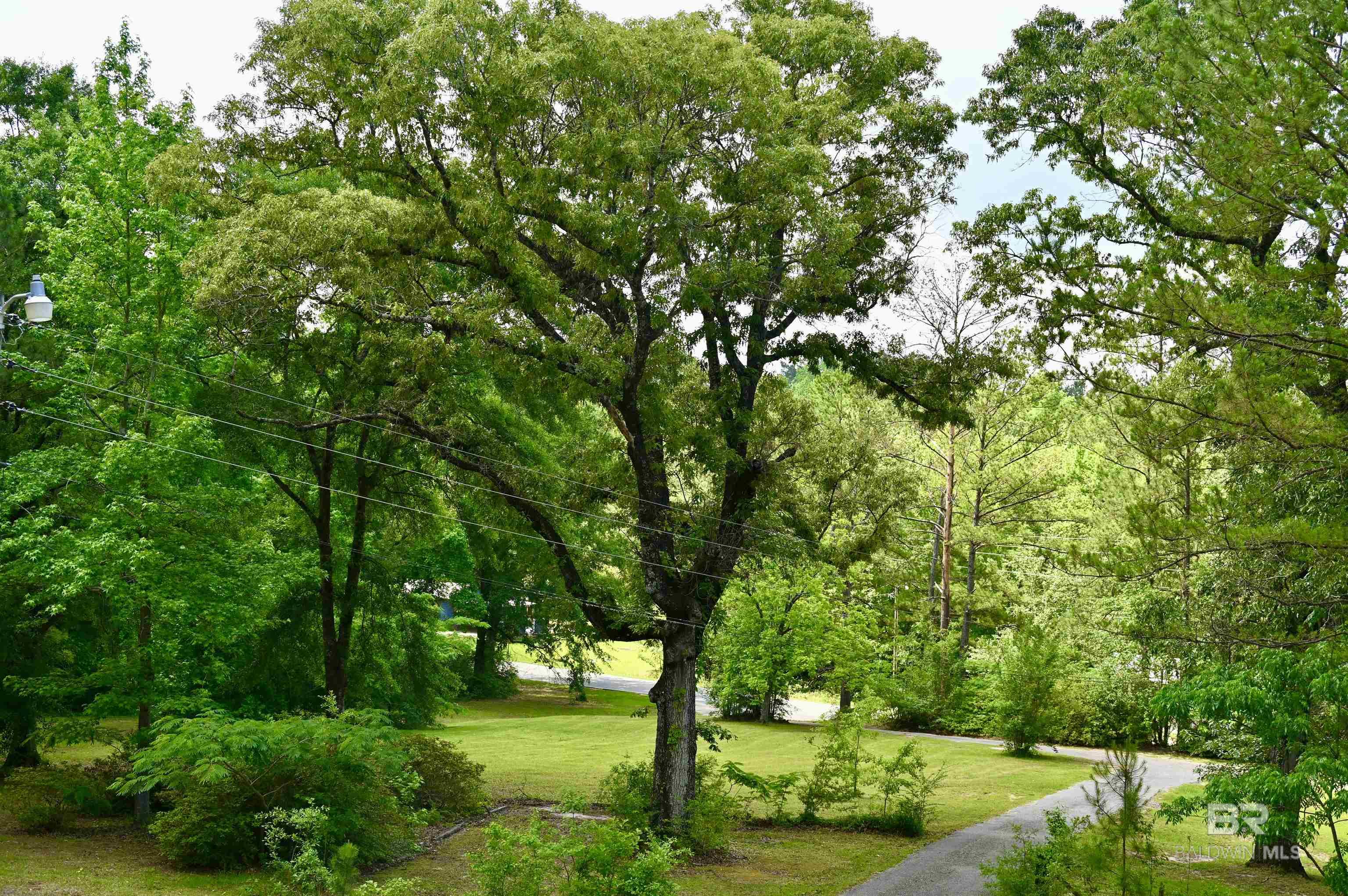 2300 Wolf Log Road