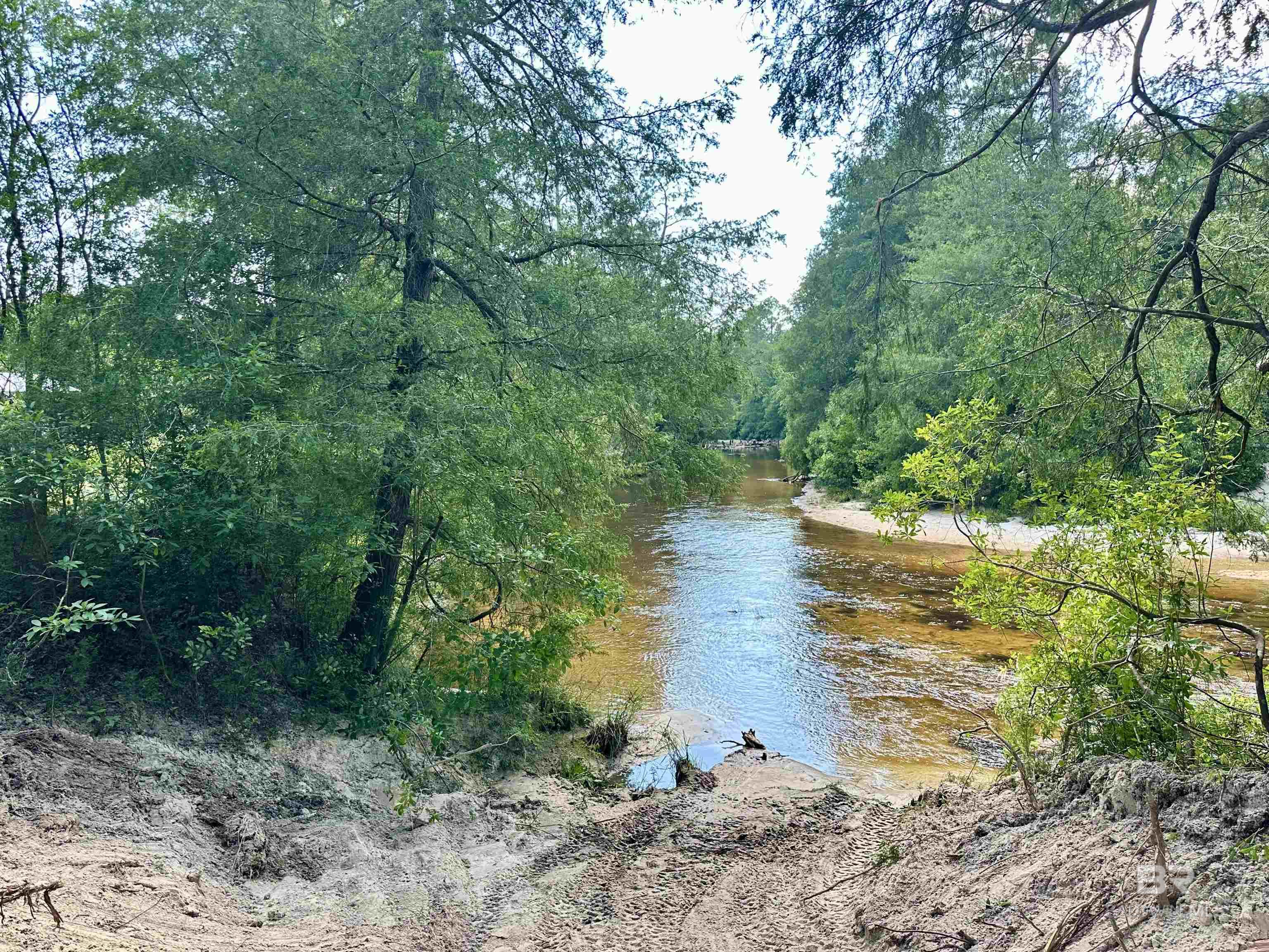 2516 Wolf Log Road