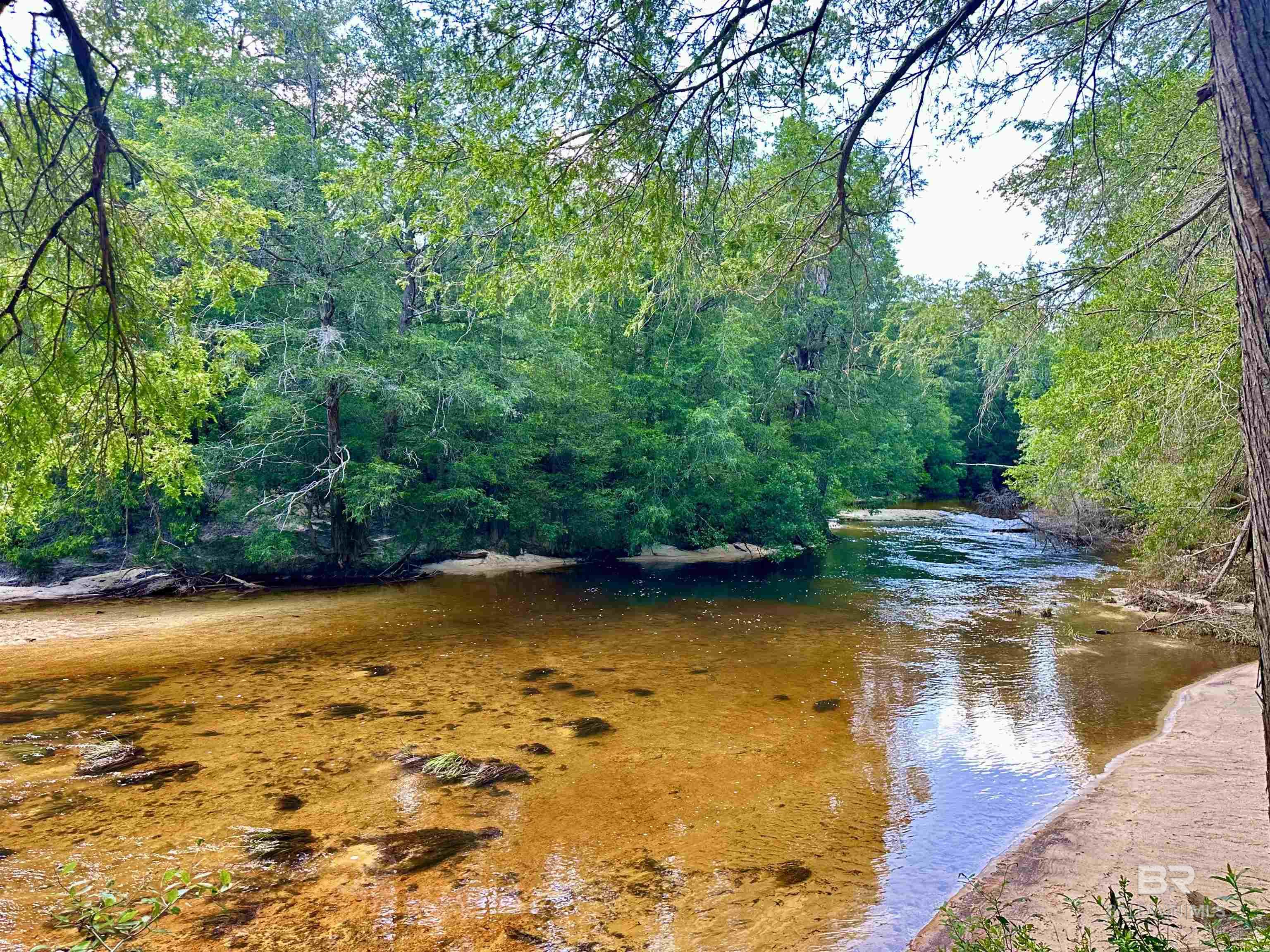 2516 Wolf Log Road