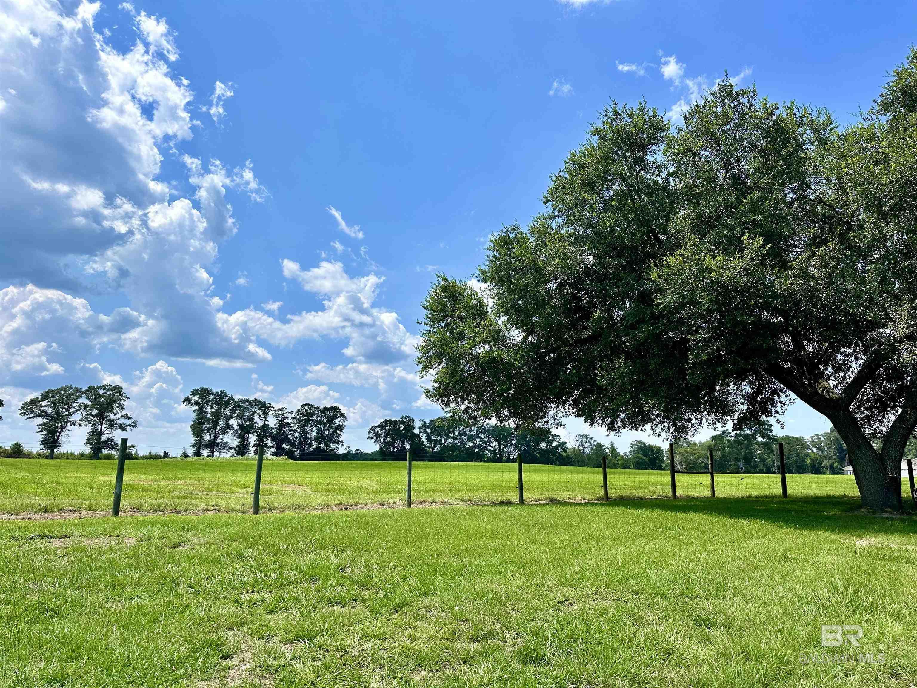 26505 Highway 41