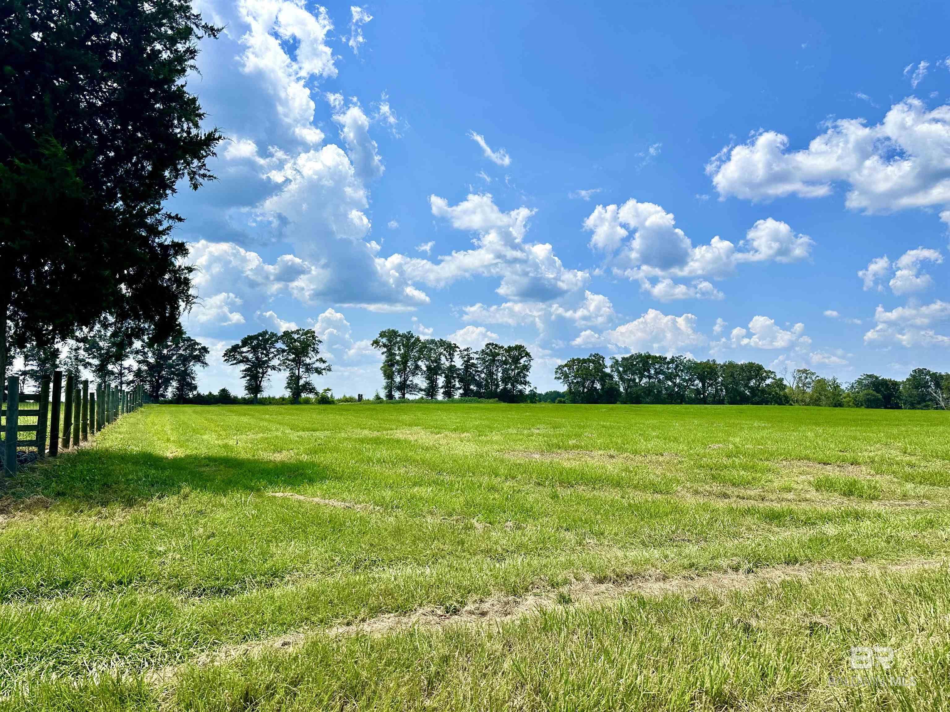 26505 Highway 41