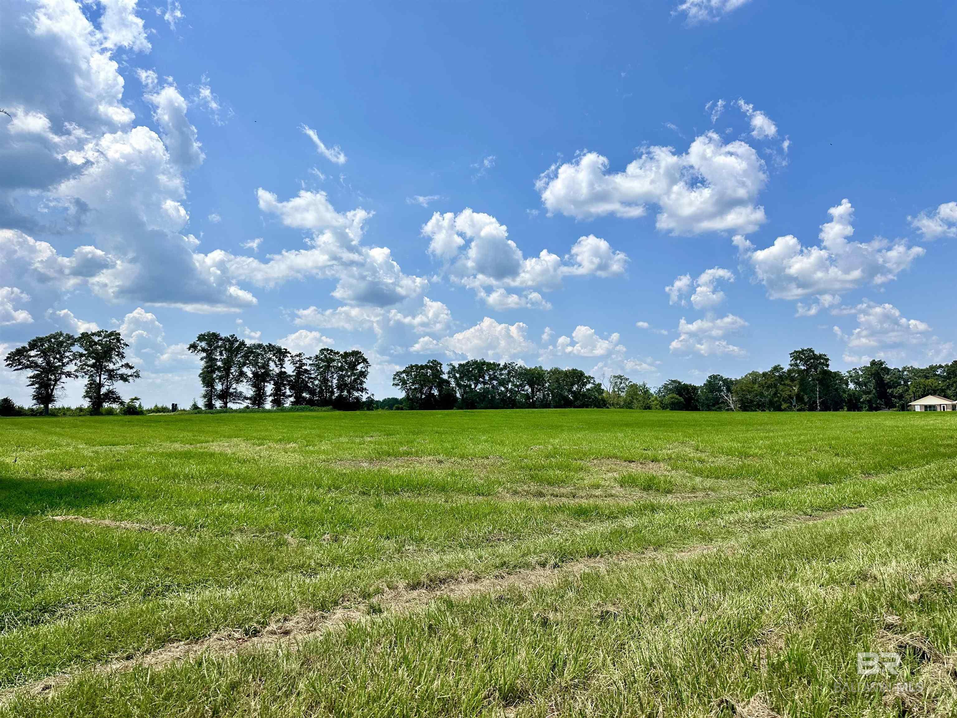 26505 Highway 41