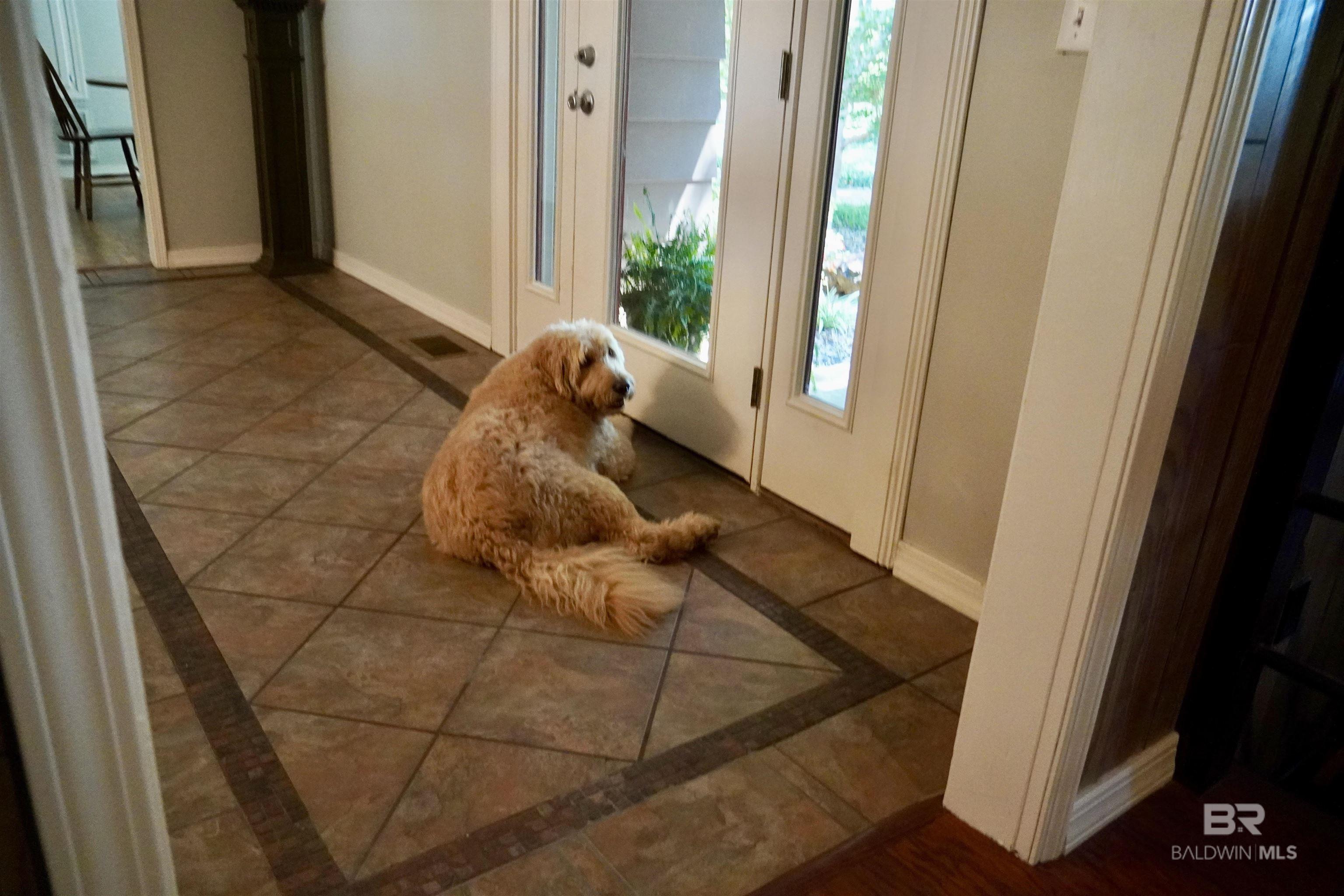 117 Belle Meade Drive