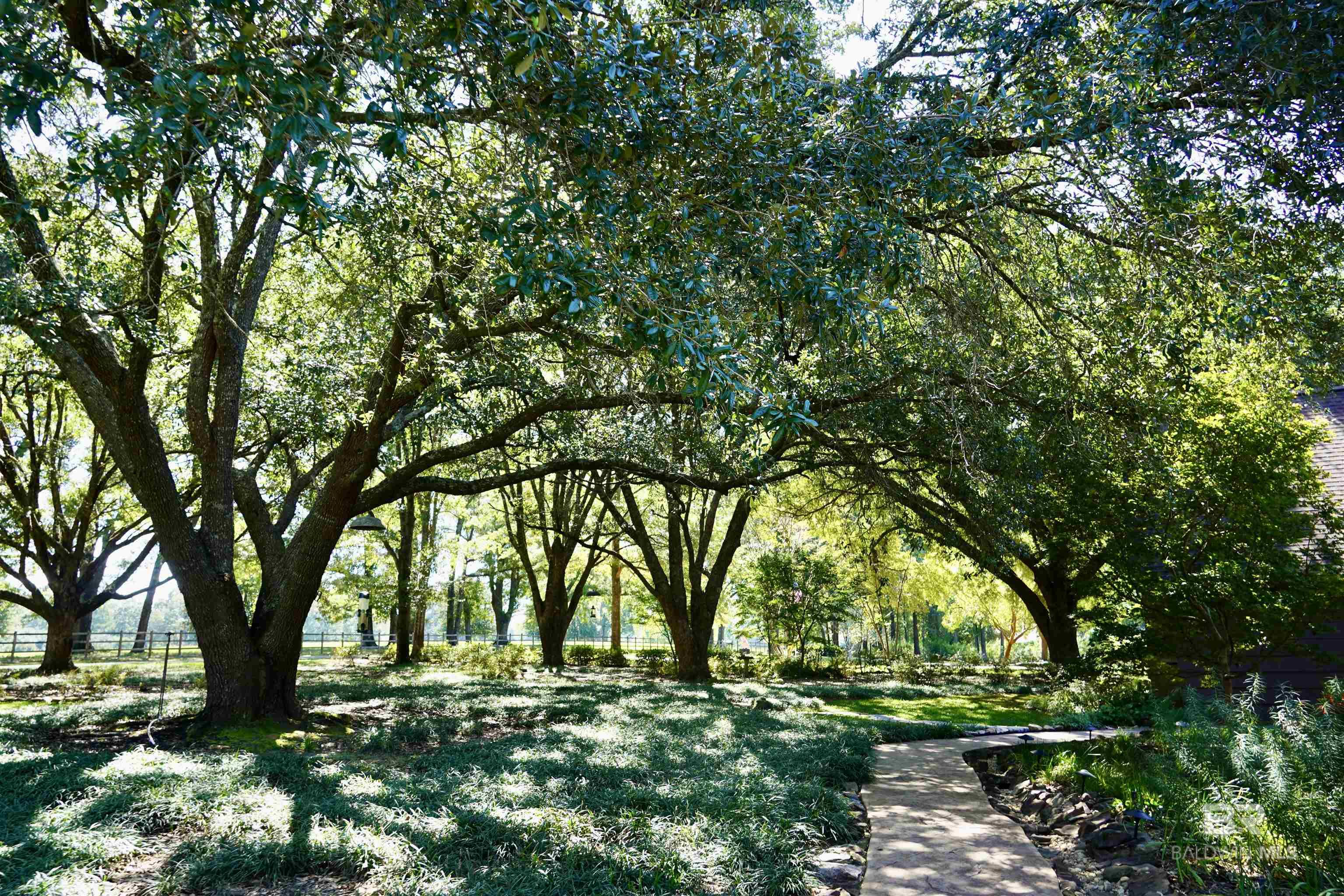 117 Belle Meade Drive