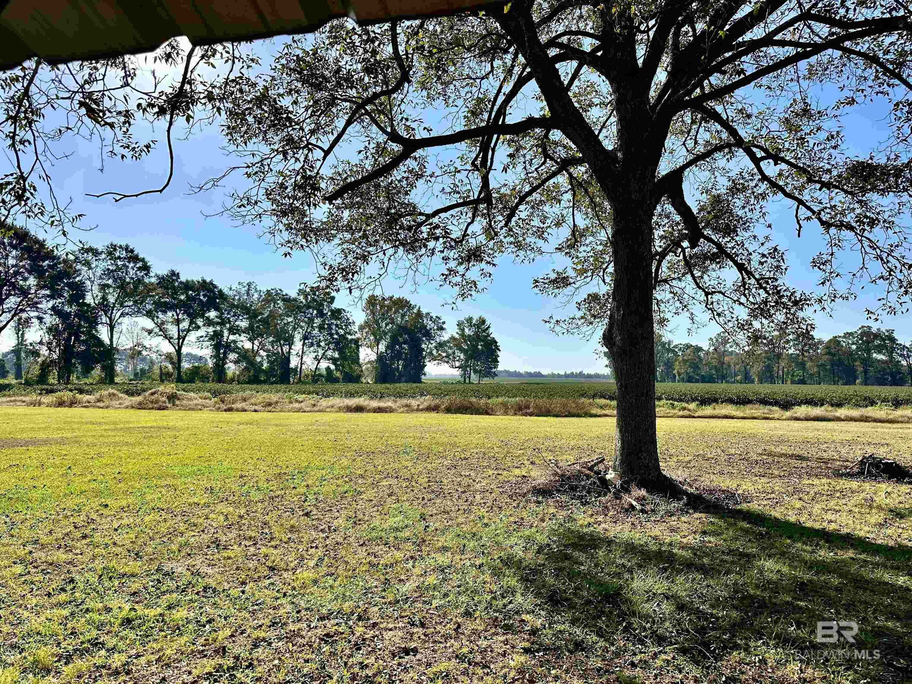 21220 County Road 6