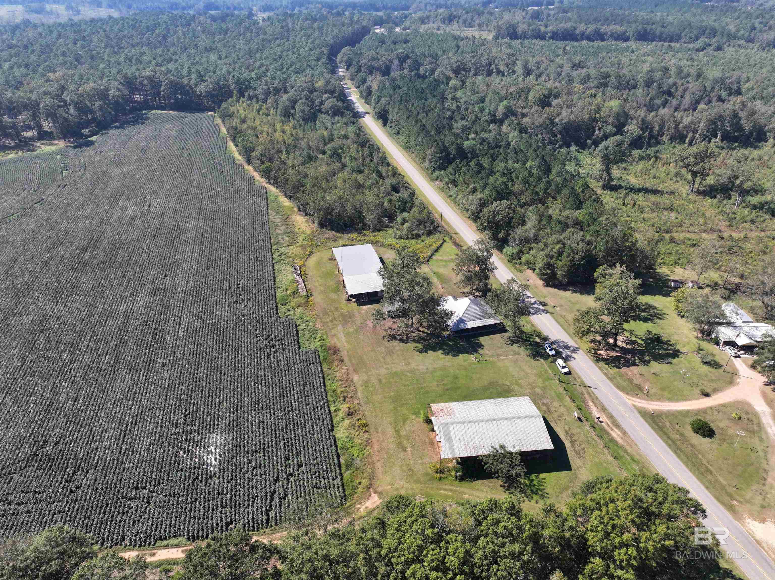 21220 County Road 6