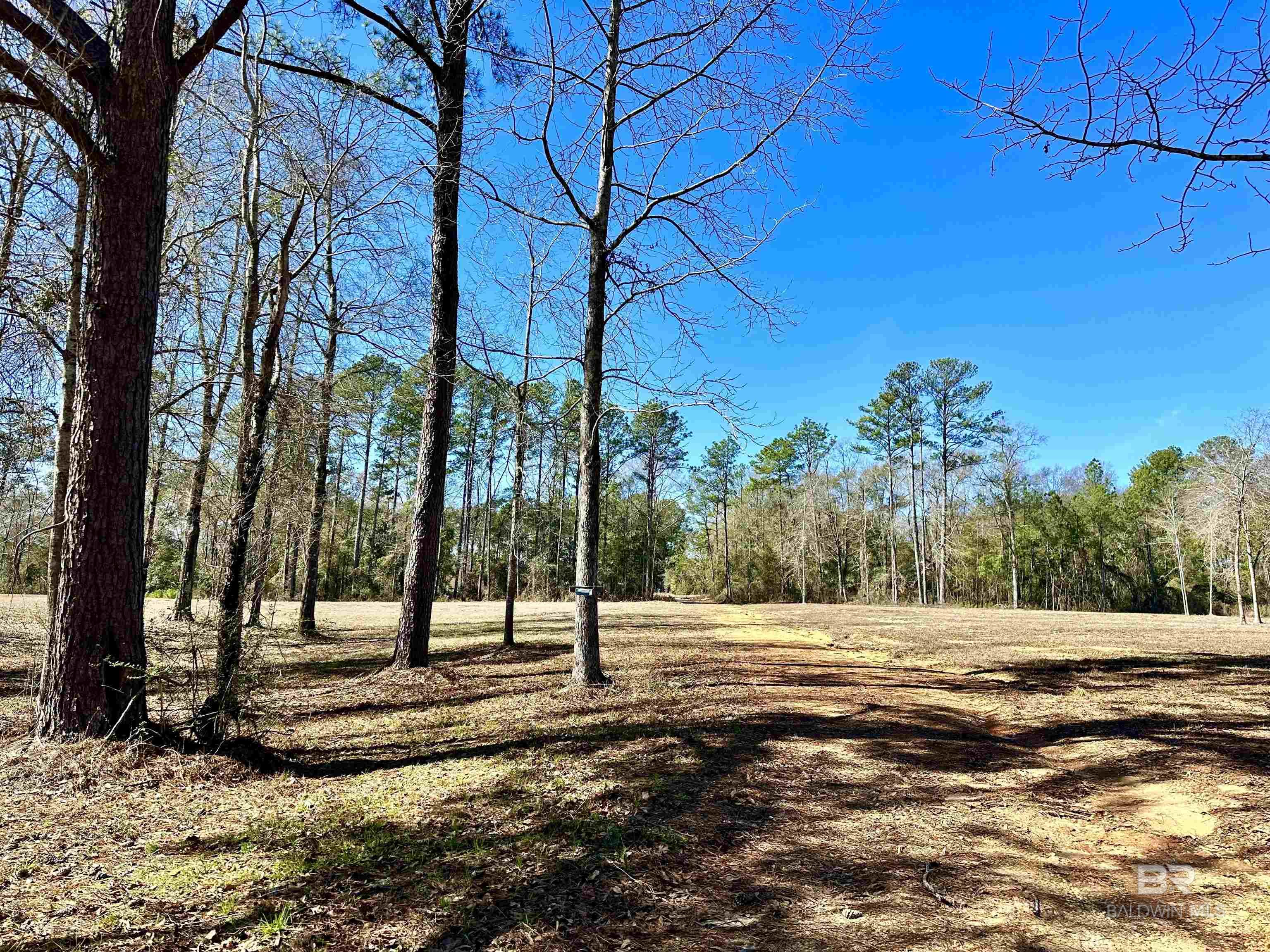 3051 Highway 31