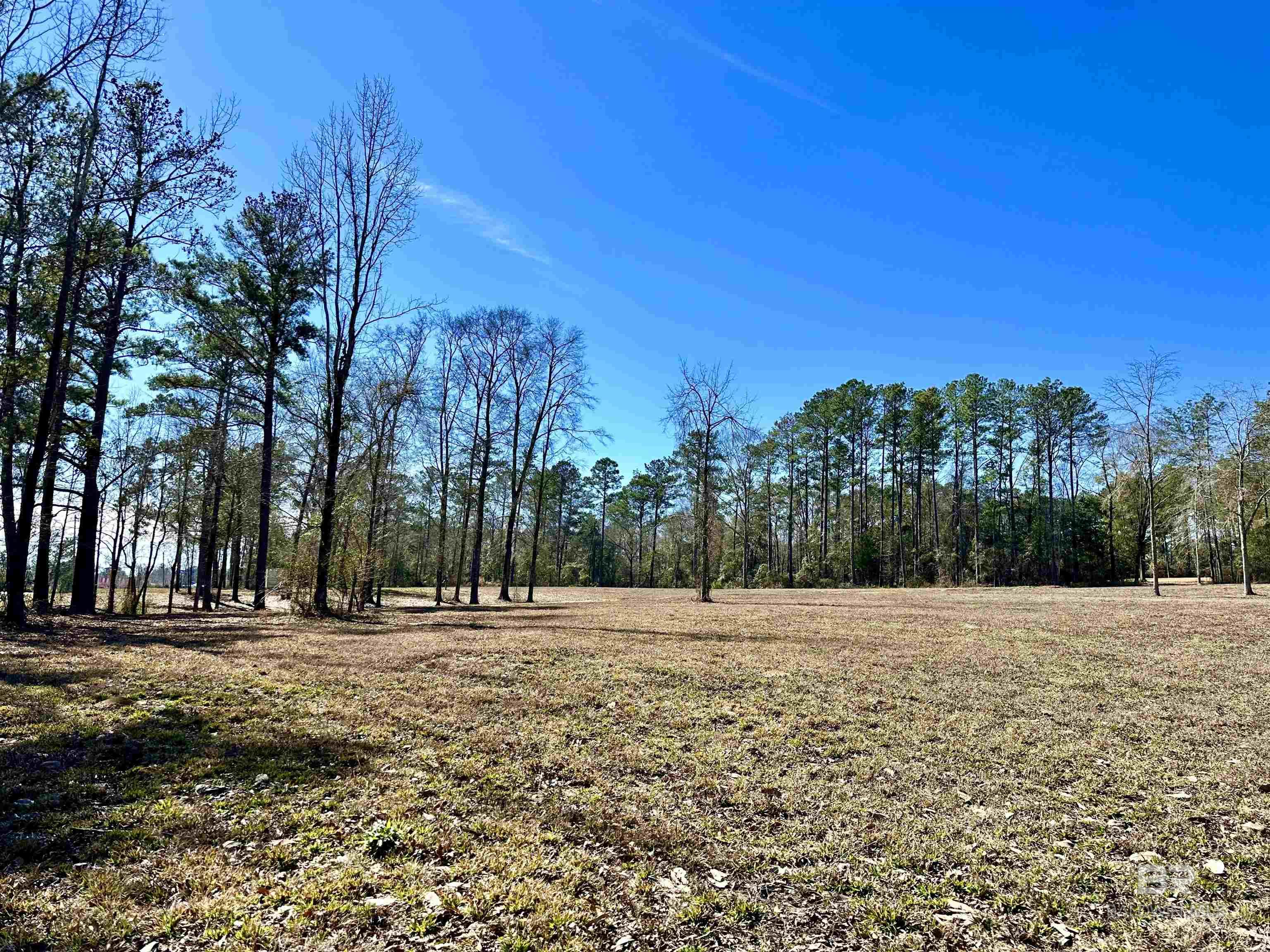 3051 Highway 31