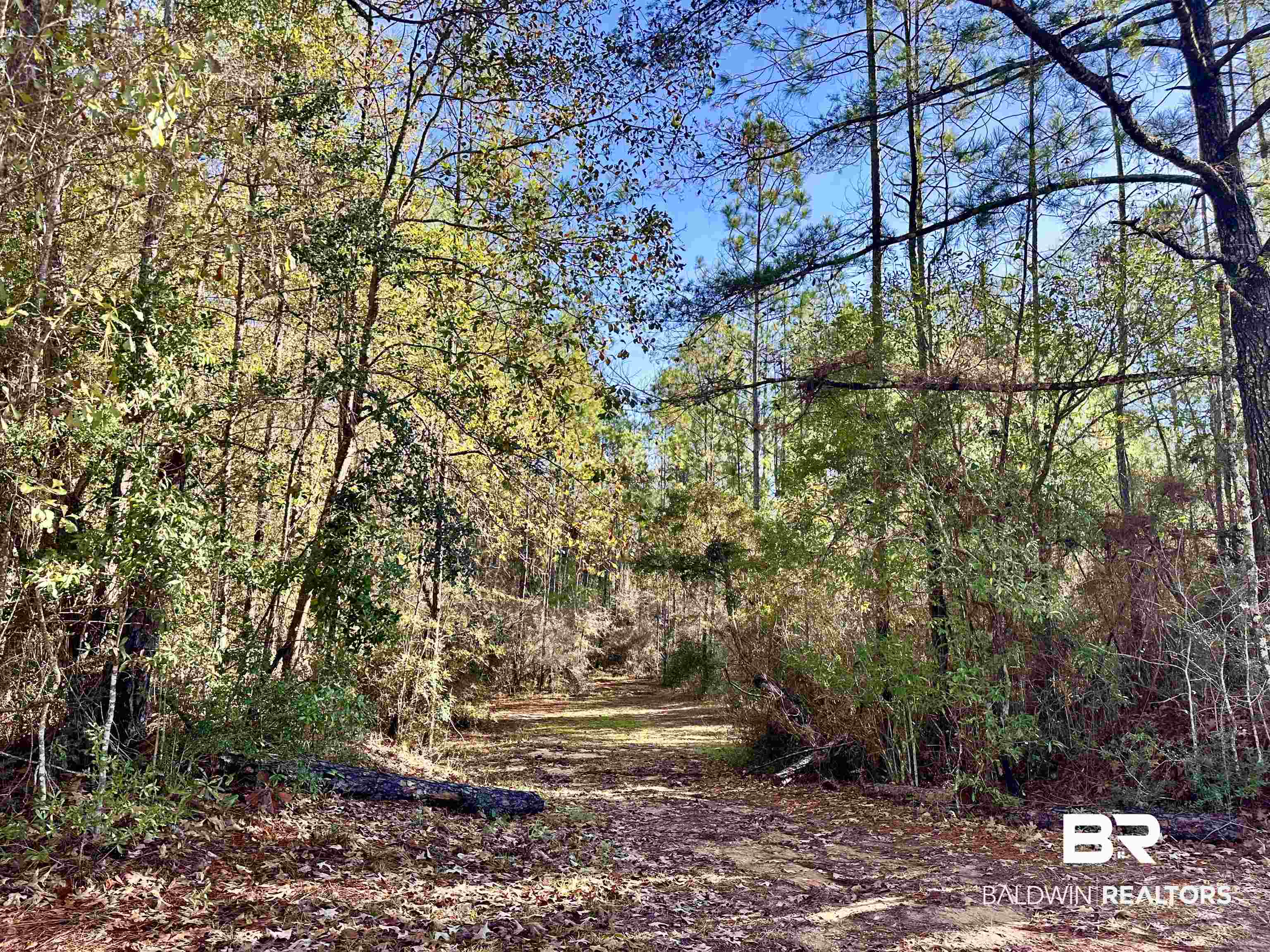 3881 Old Atmore Road
