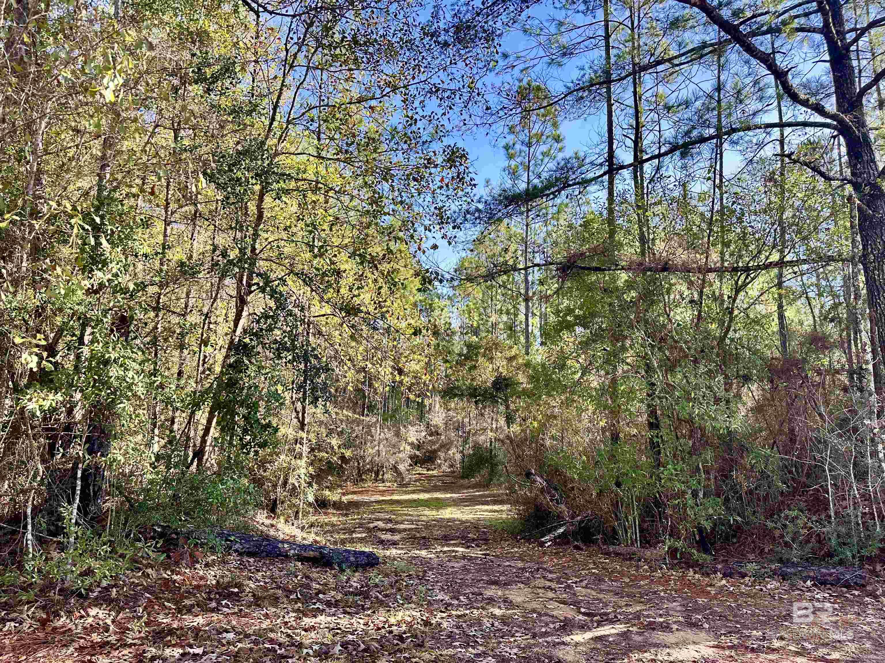 3881 Old Atmore Road