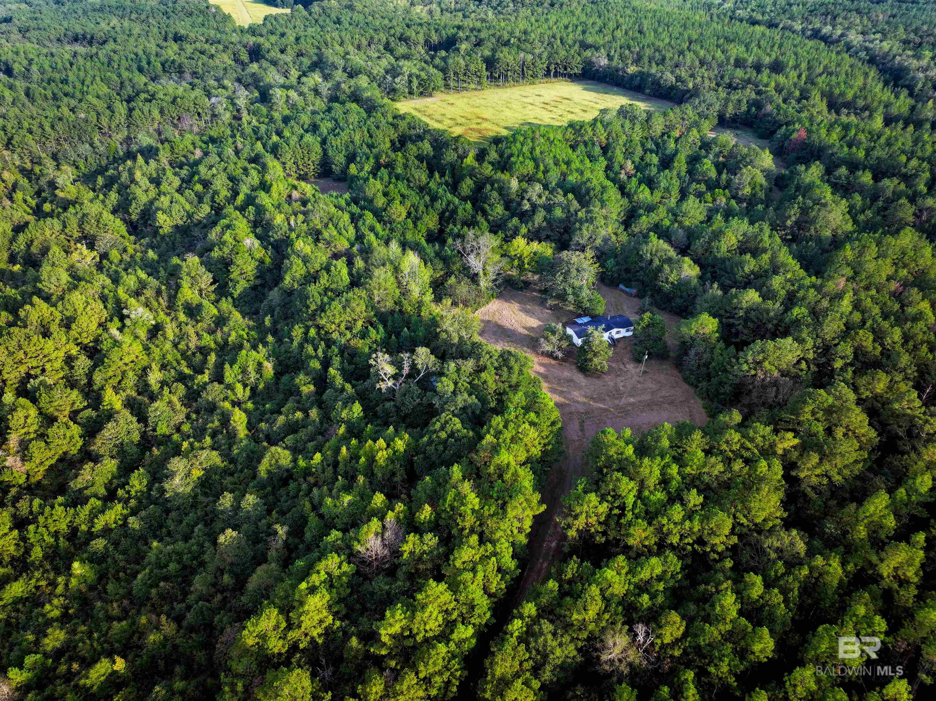 3346 Hoomesville Road