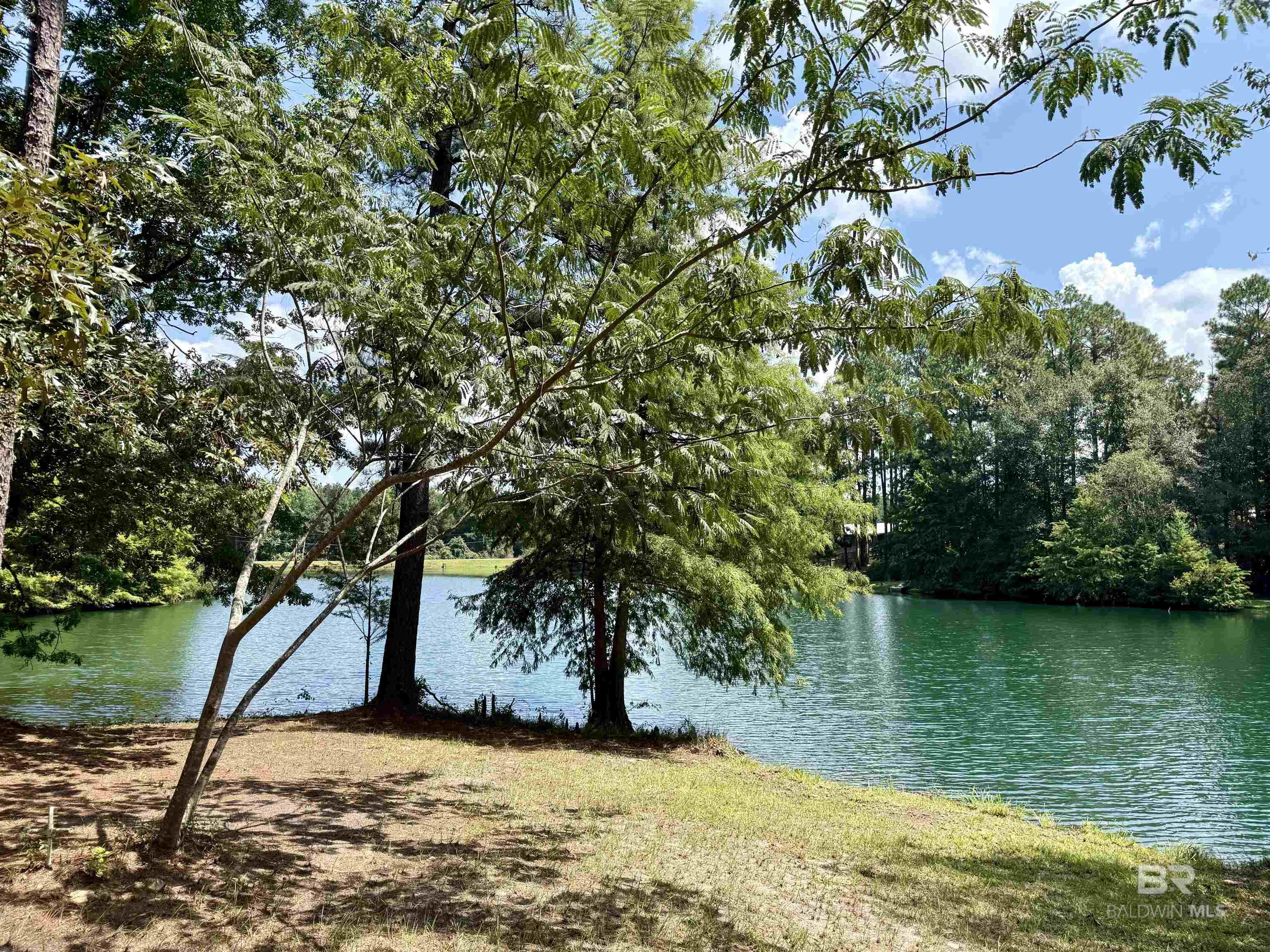 778 Buddy Lake Road