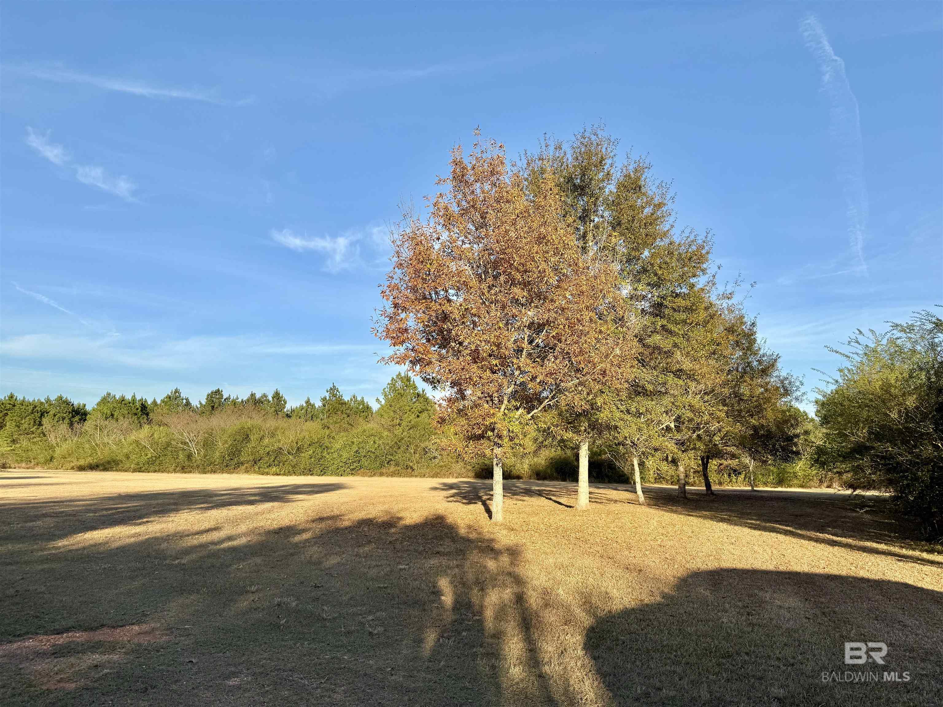 8028 Upper Creek Road