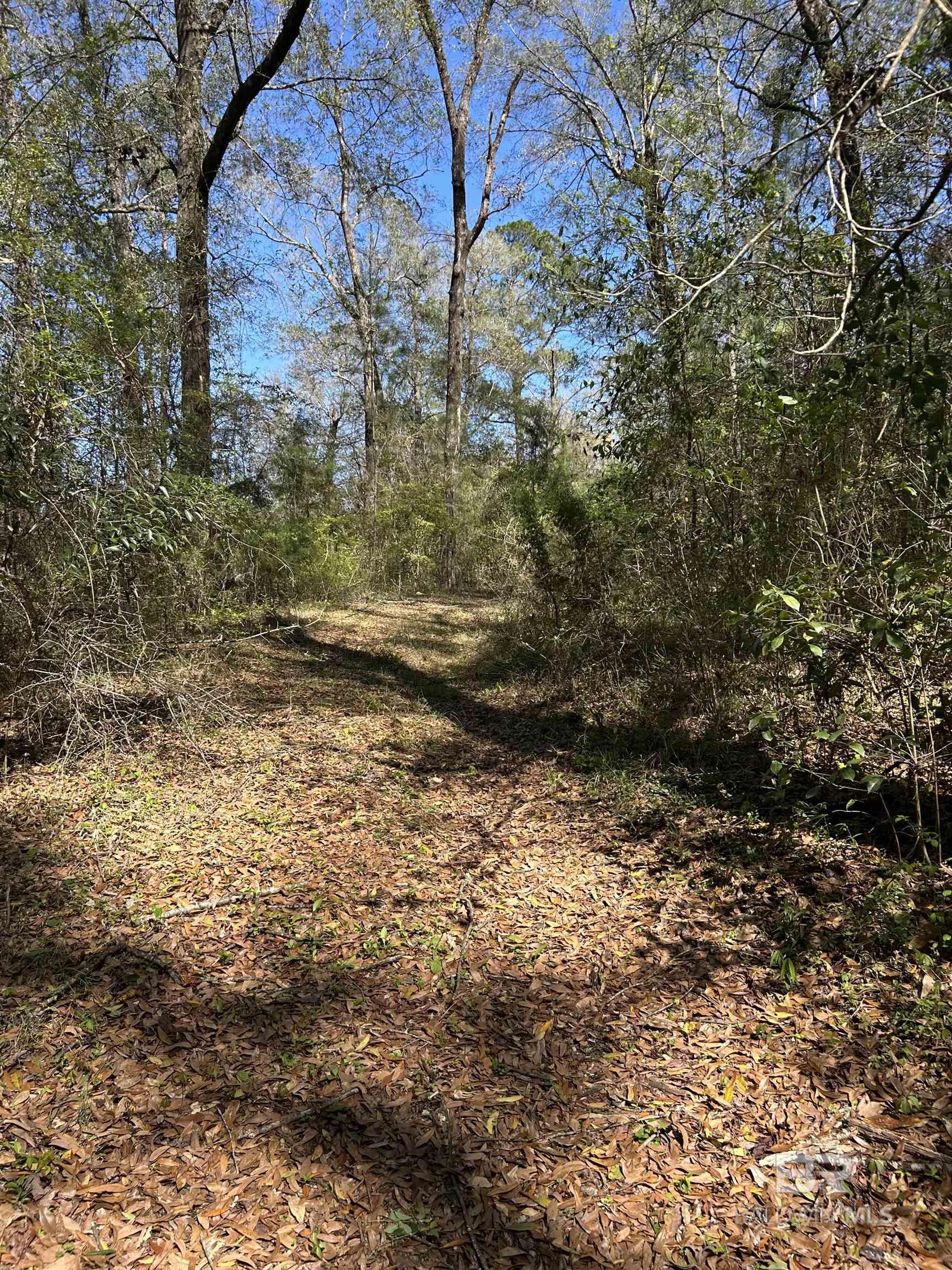 0 Fleming Lane
