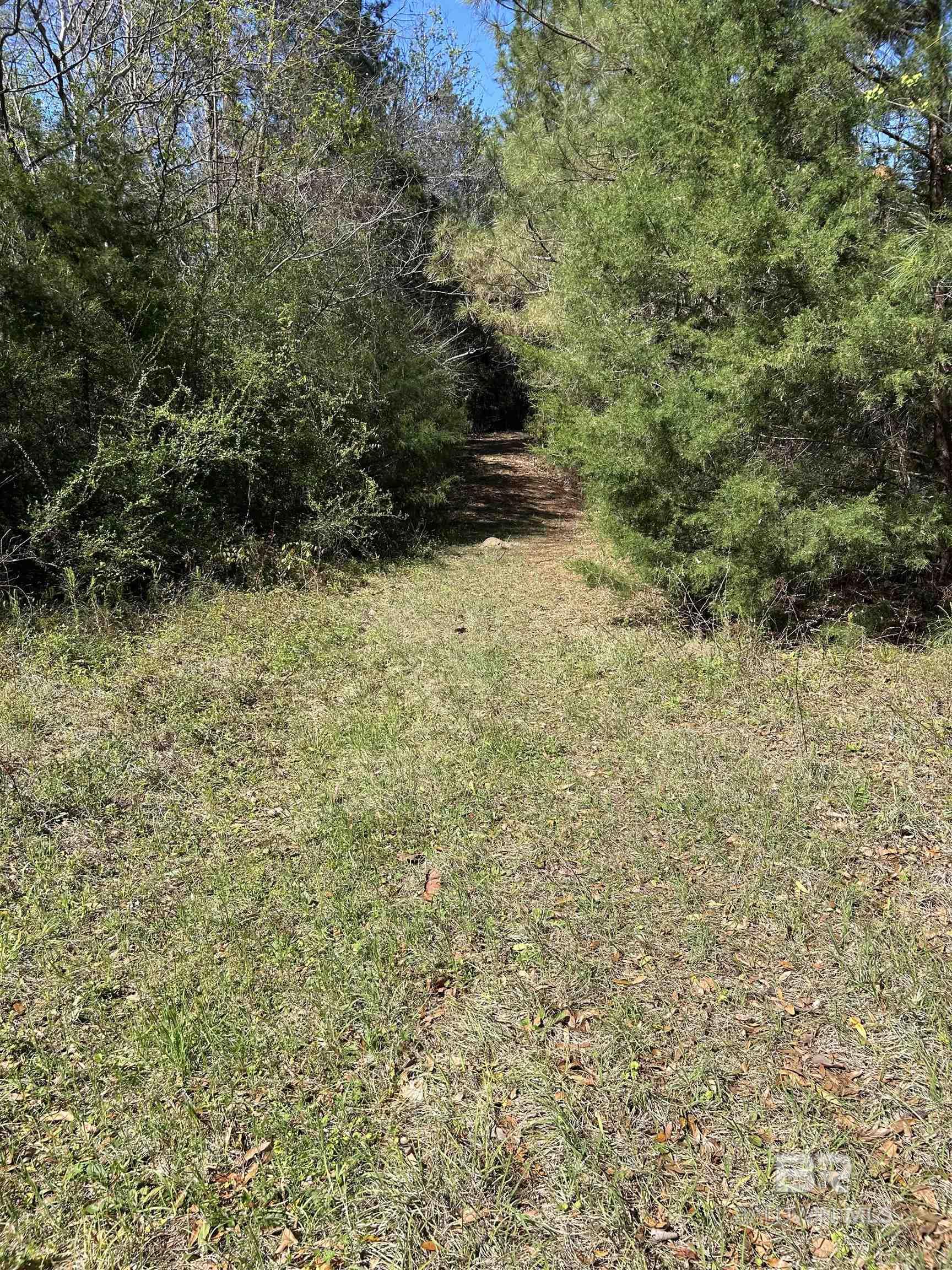 0 Fleming Lane