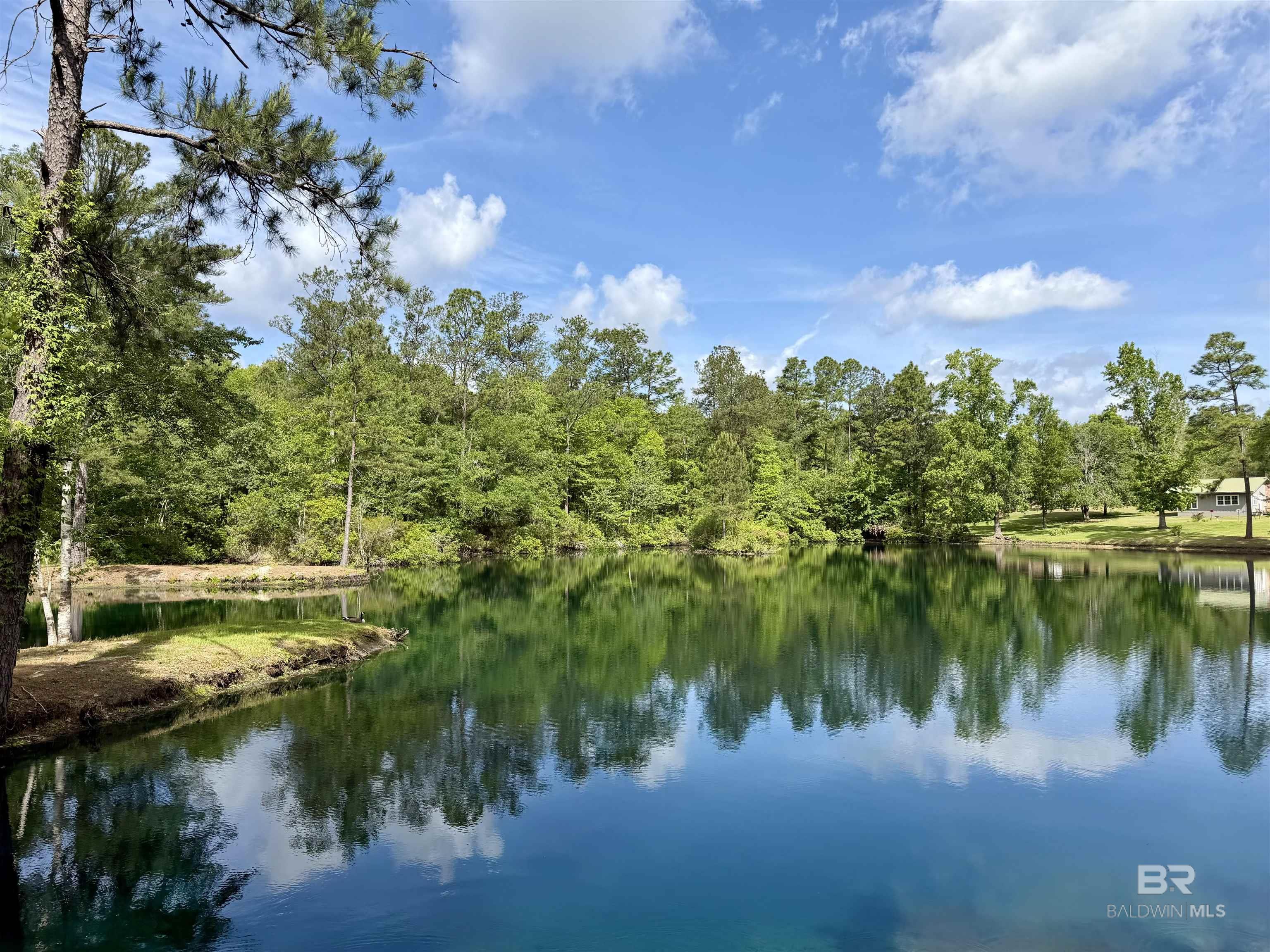 762 Buddy Lake Road