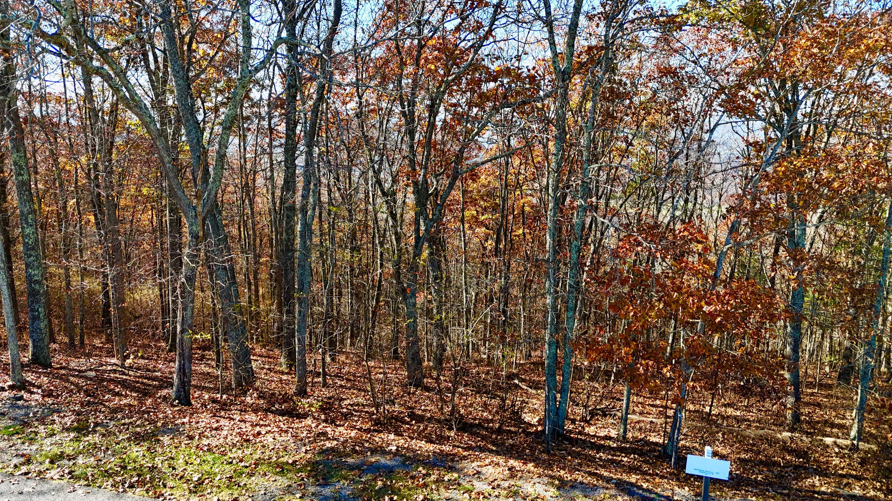 Lot 97 White Rock Trail