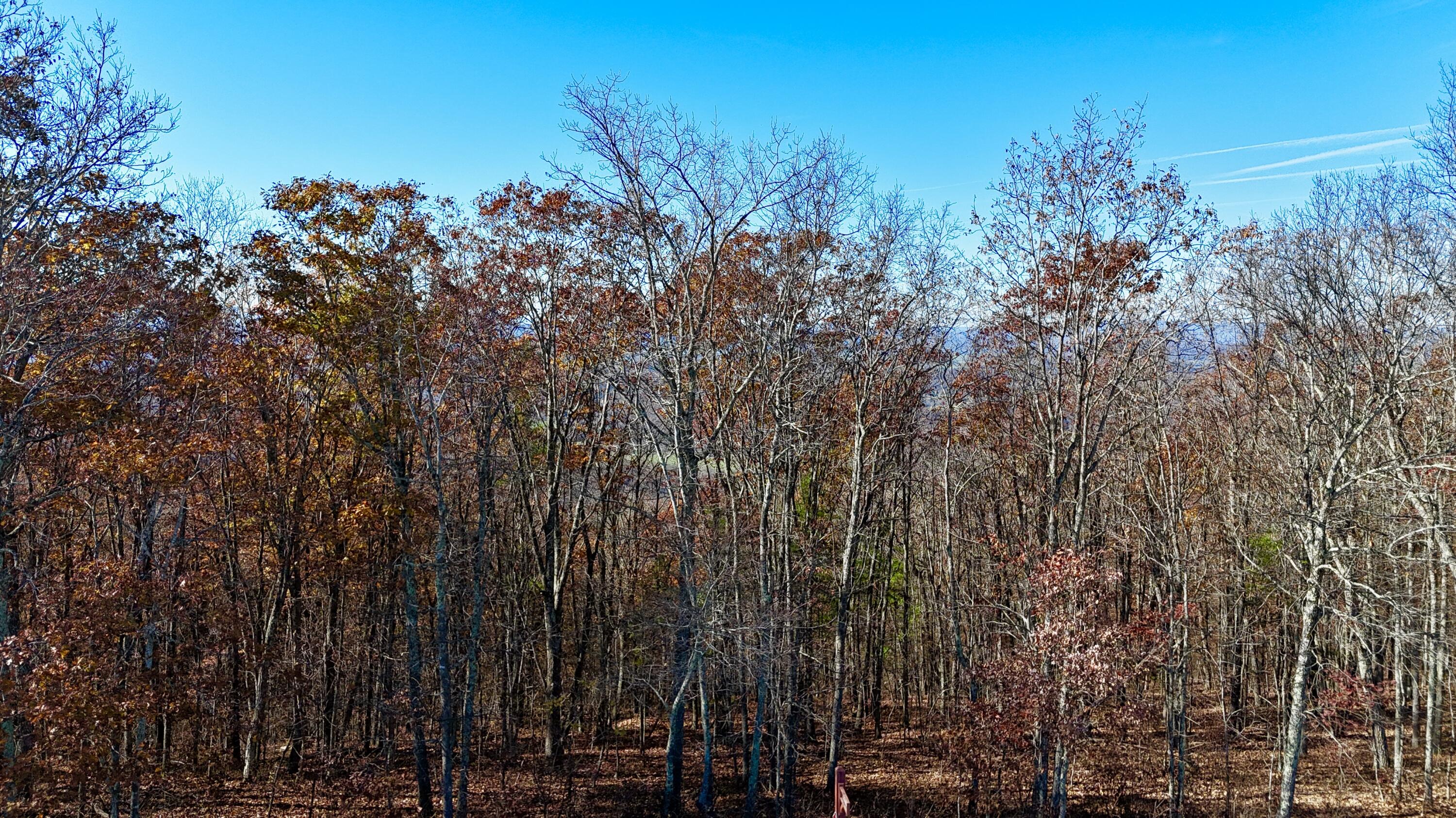 Lot 97 White Rock Trail