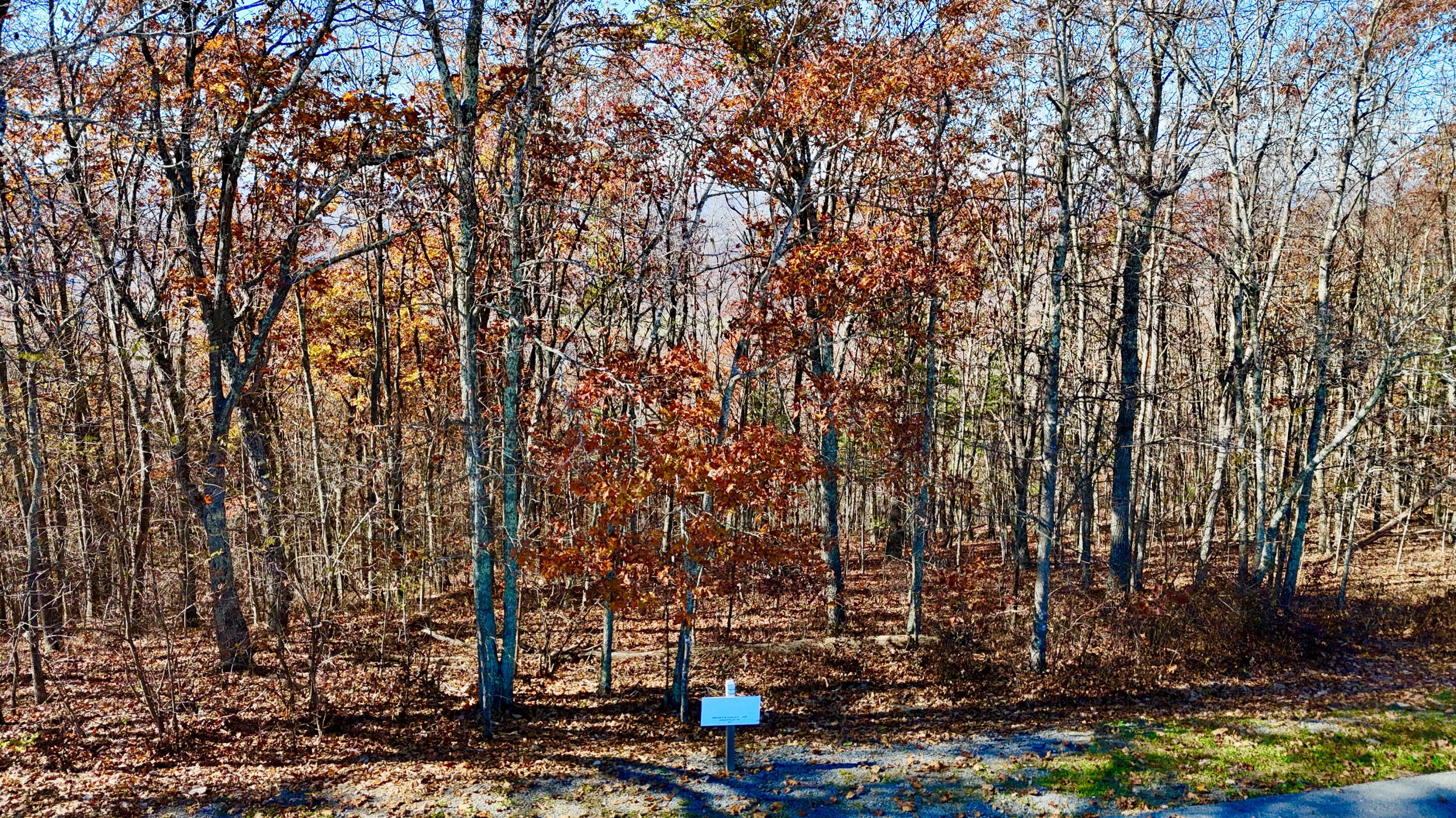 Lot 97 White Rock Trail