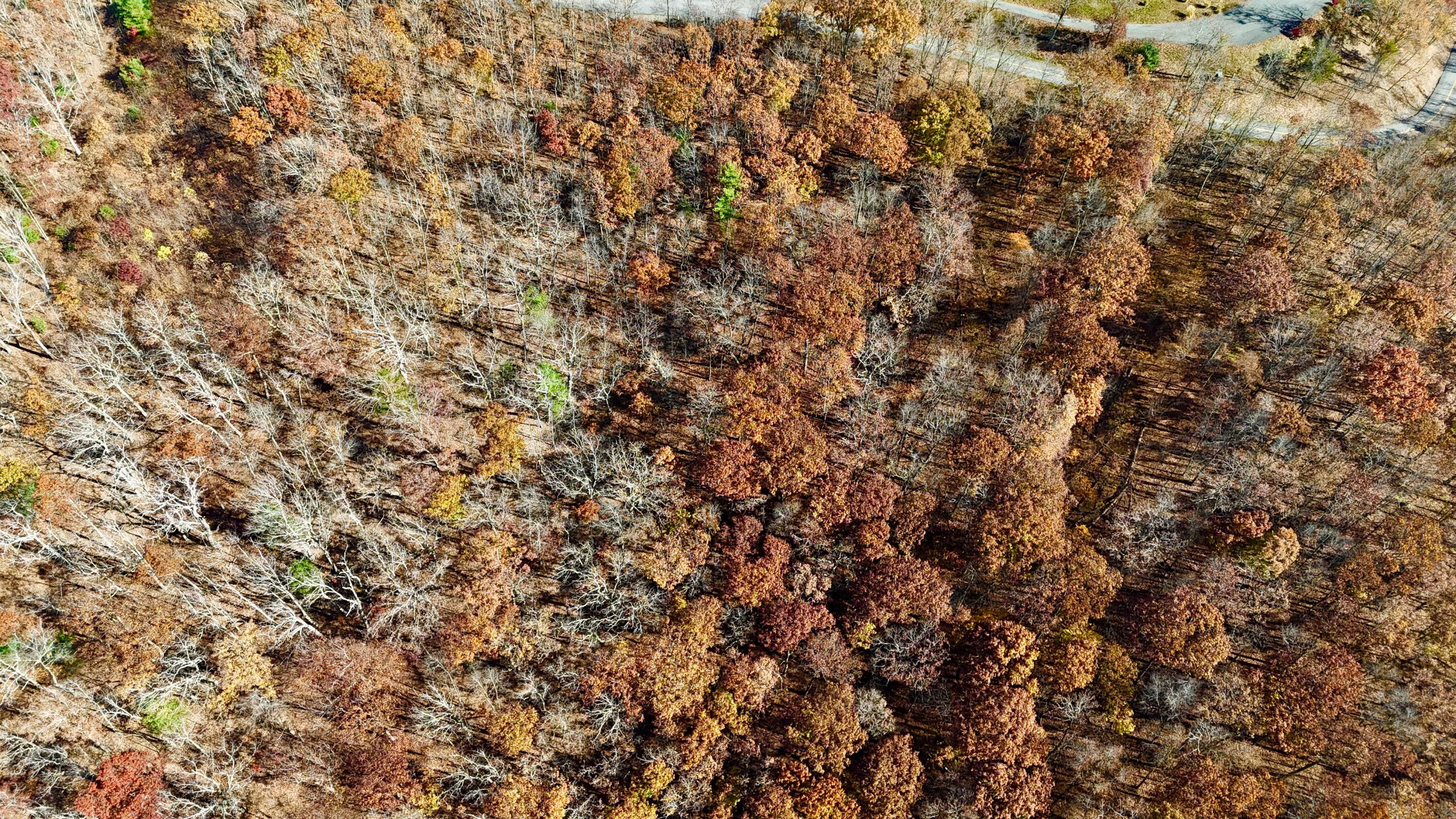 Lot 97 White Rock Trail