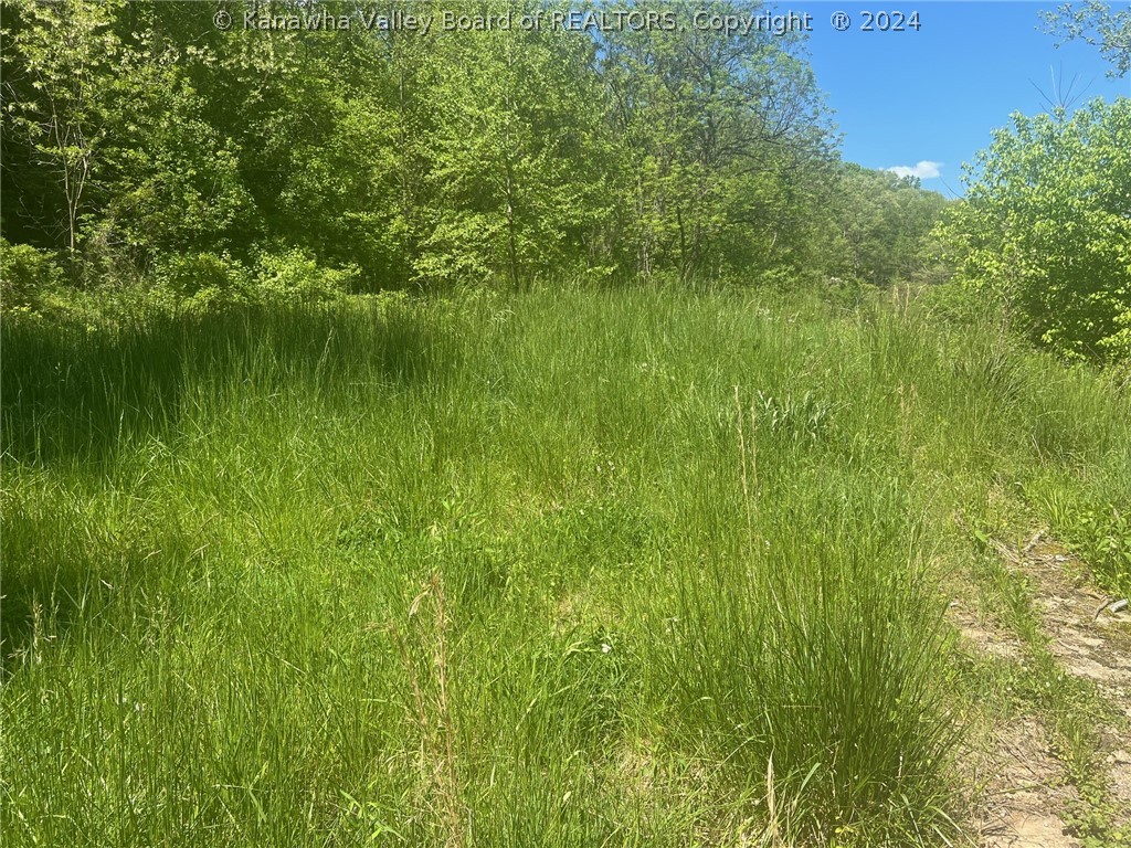 4458 Rich Fork Road