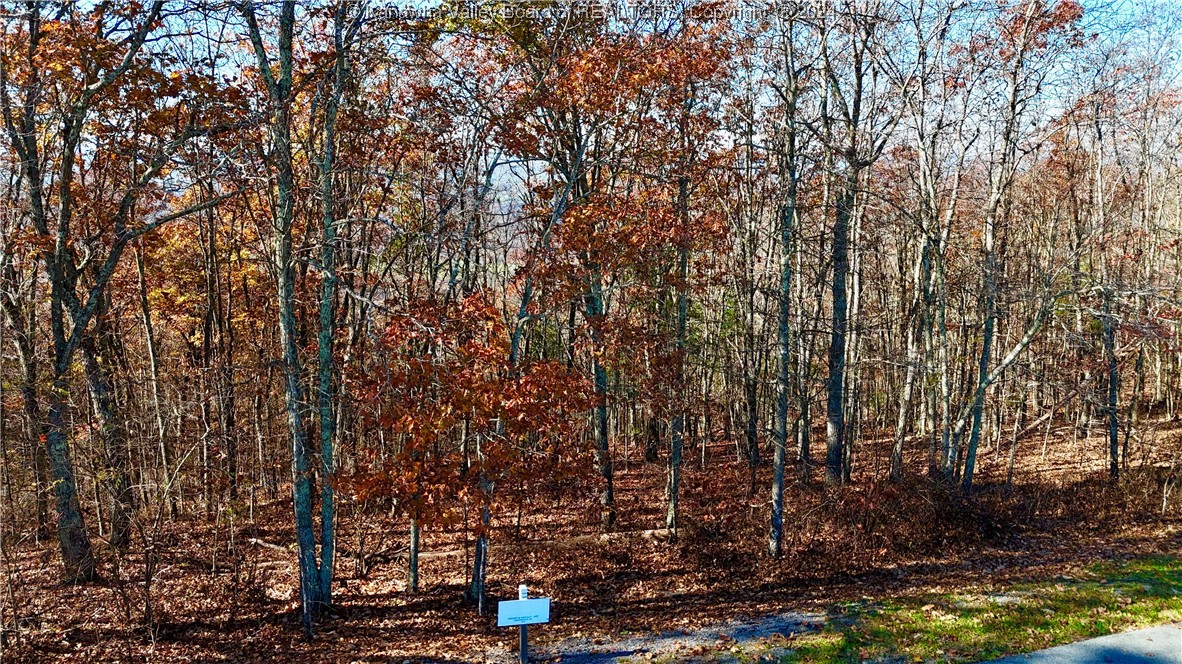 Lot 97 White Rock Trail(S)