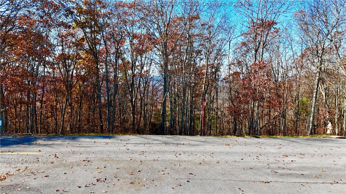 Lot 97 White Rock Trail(S)