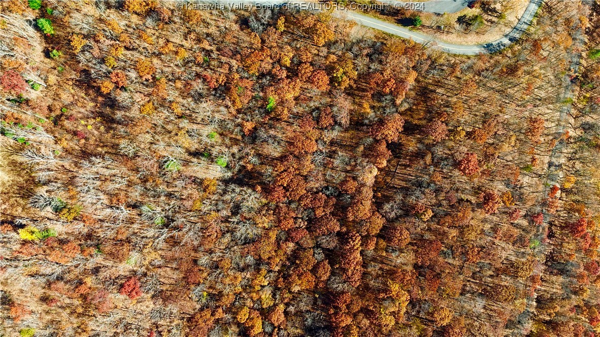 Lot 97 White Rock Trail(S)