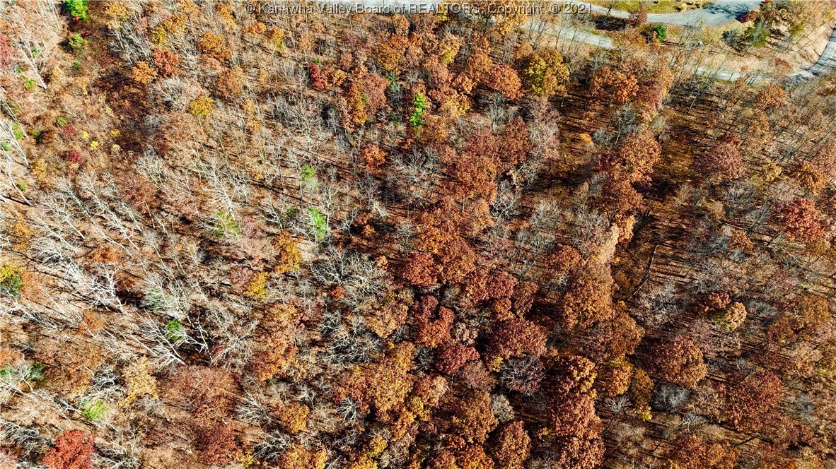 Lot 97 White Rock Trail(S)