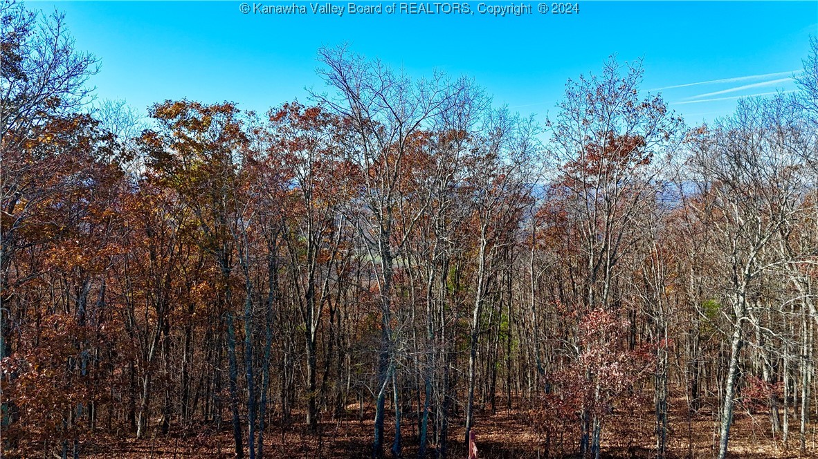Lot 97 White Rock Trail(S)