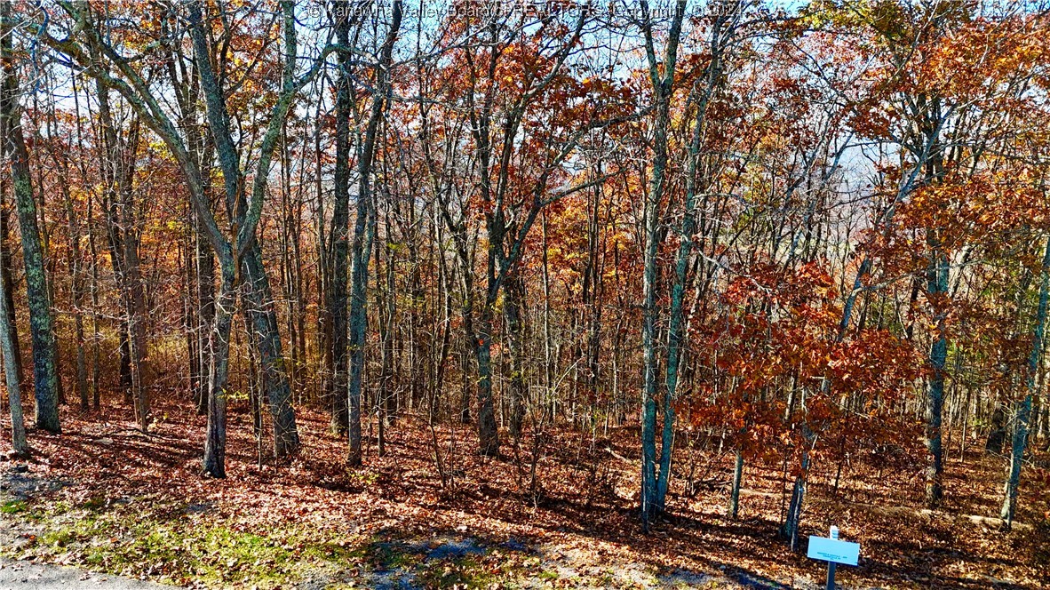 Lot 97 White Rock Trail(S)