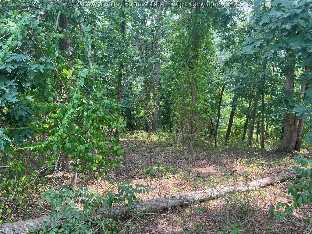 0 Suncrest Place
