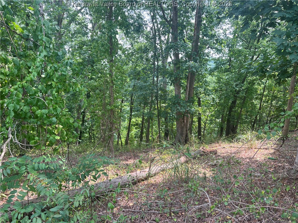 0 Suncrest Place